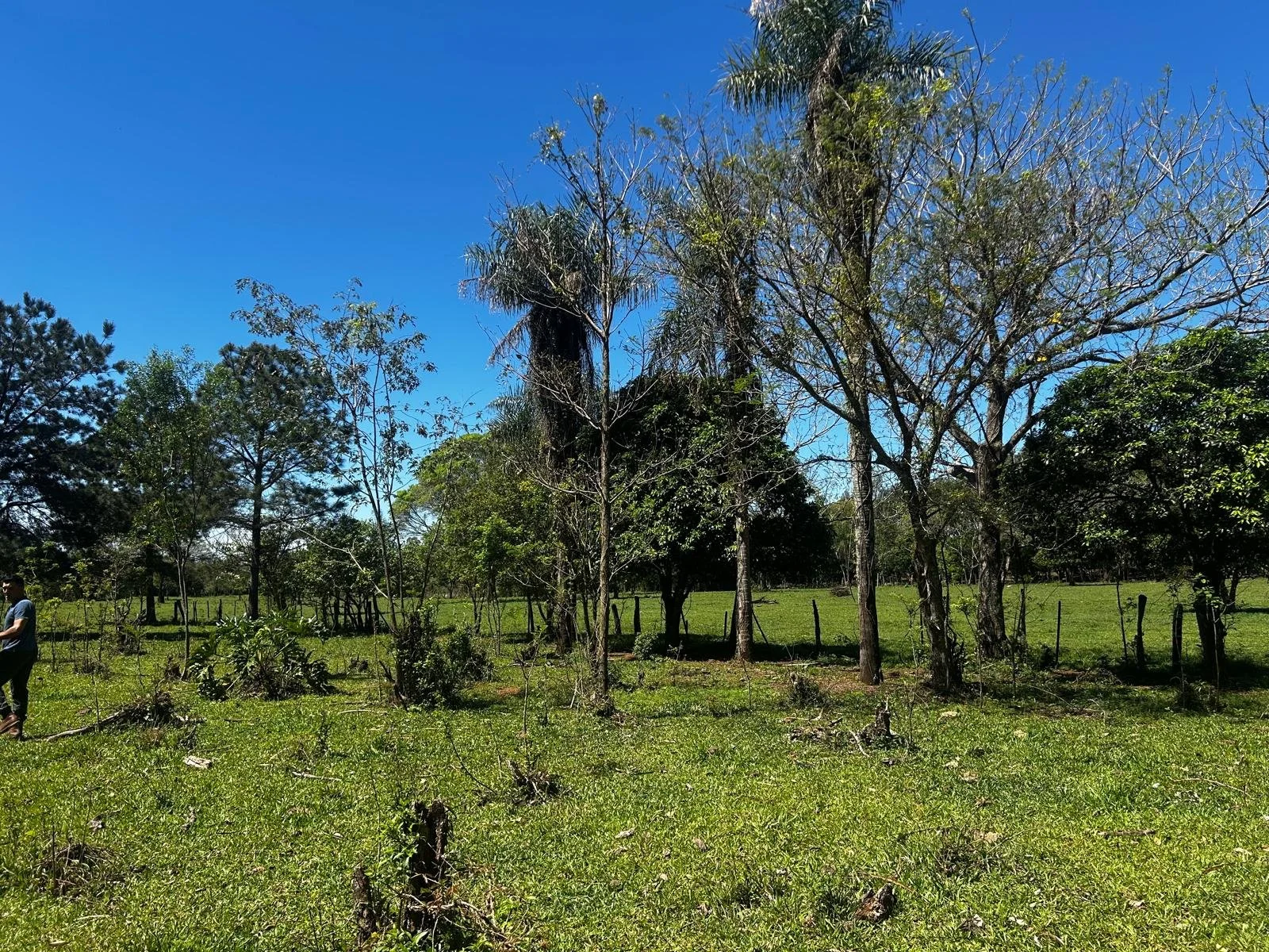 WhatsApp Image 2026-02-06 at 08.57.17.jpeg