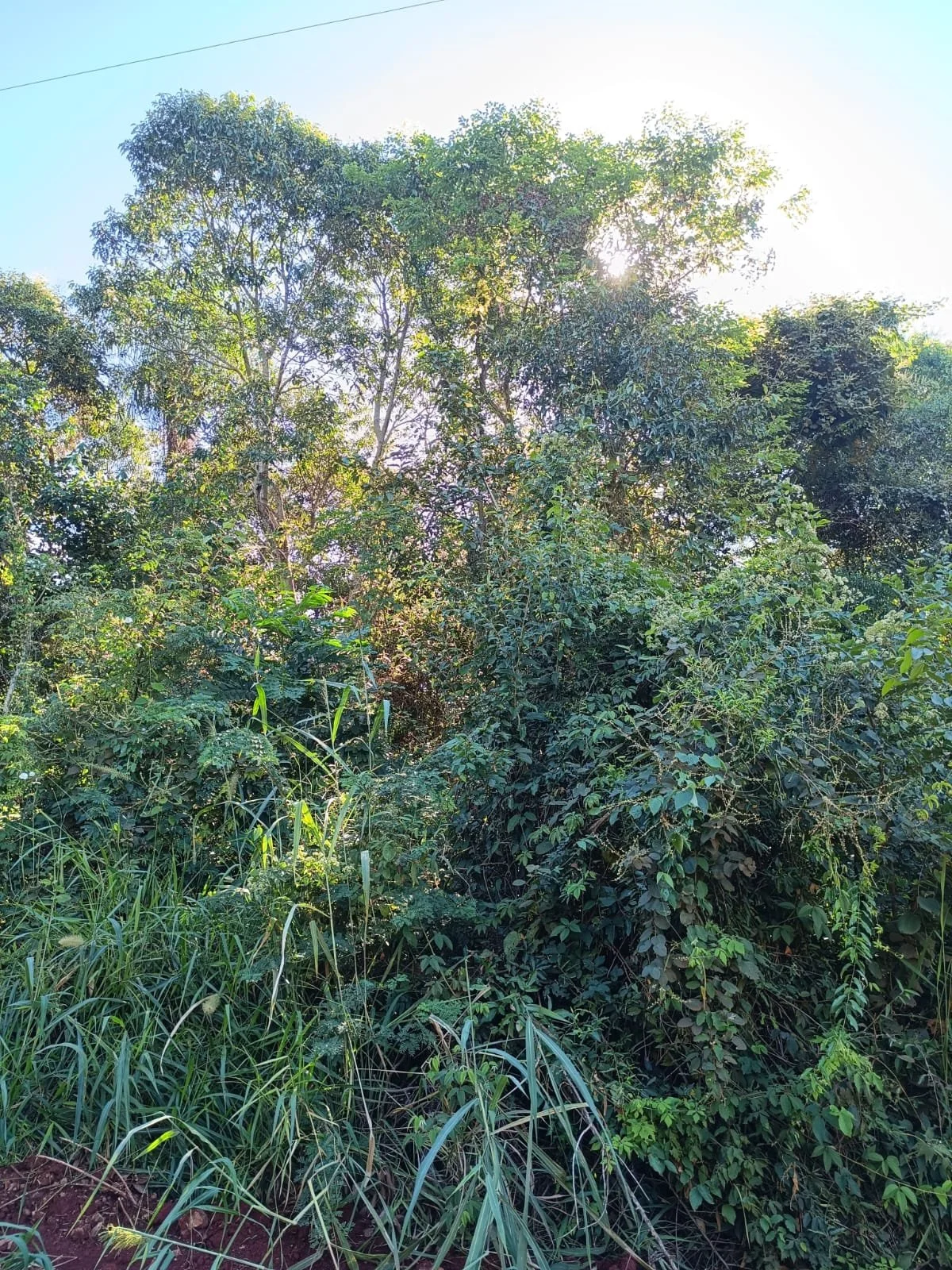 WhatsApp Image 2026-04-11 at 02.08.06.jpeg