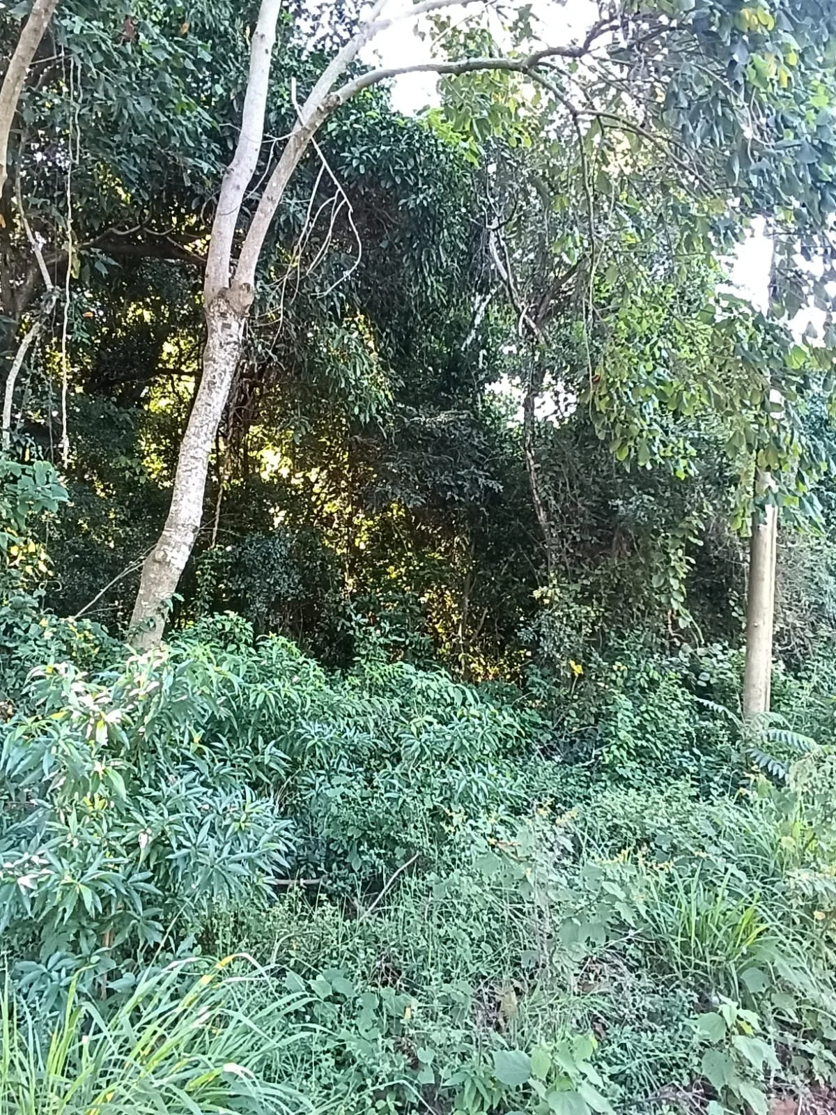 WhatsApp Image 2026-04-11 at 02.08.04.jpeg