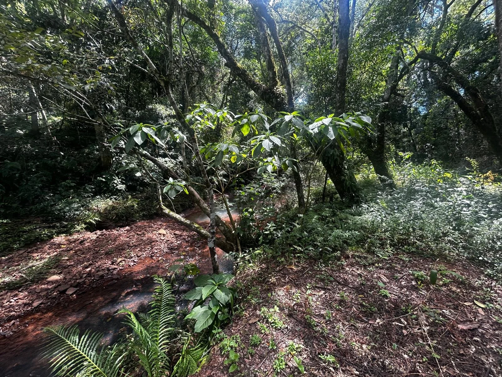 WhatsApp Image 2026-04-08 at 16.10.14.jpeg