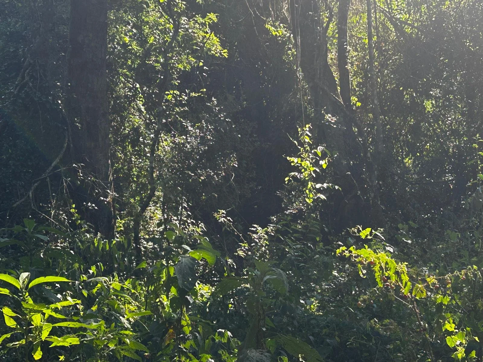 WhatsApp Image 2026-04-01 at 20.45.33 (4).jpeg