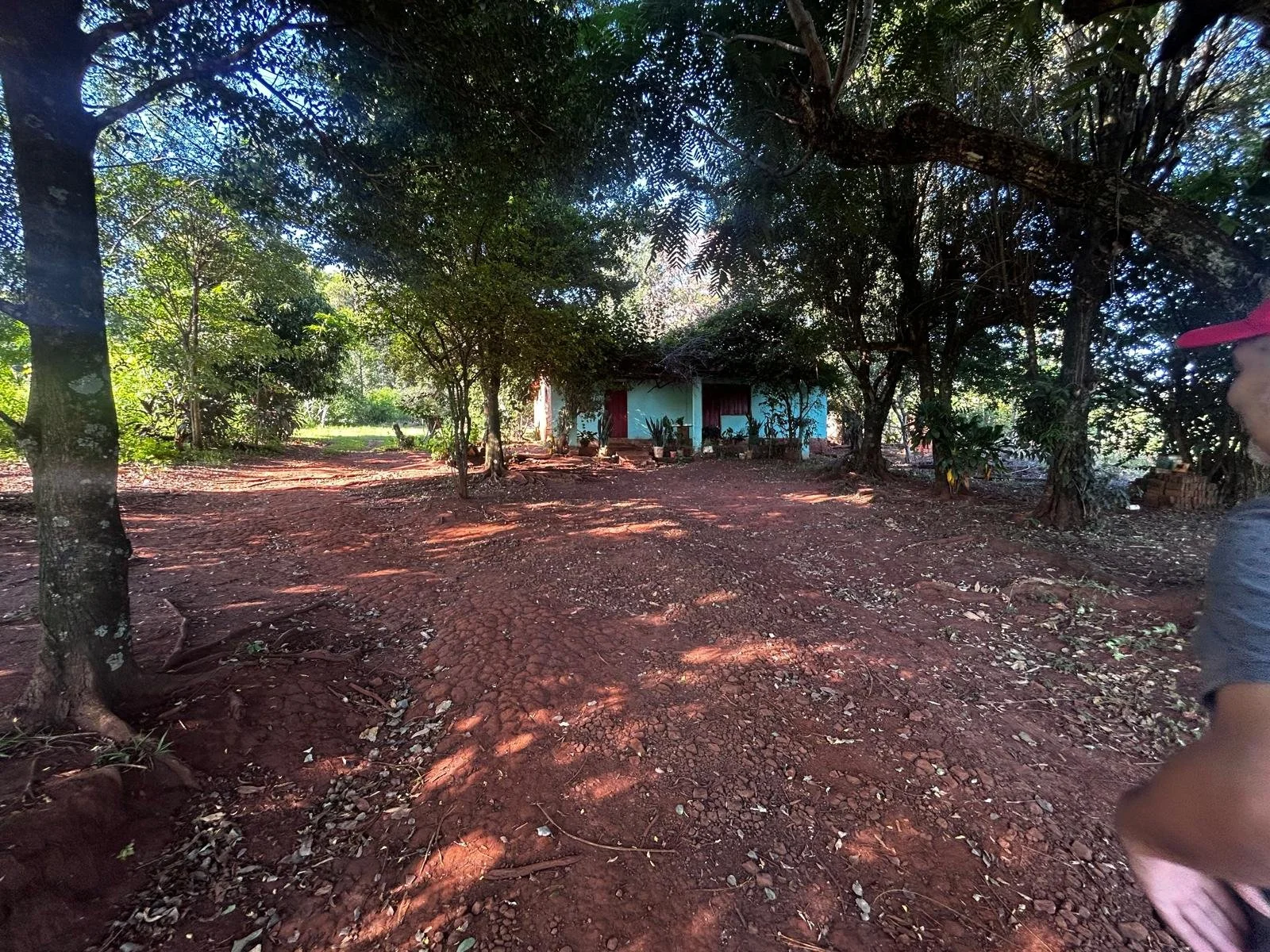 WhatsApp Image 2026-02-07 at 15.41.21.jpeg