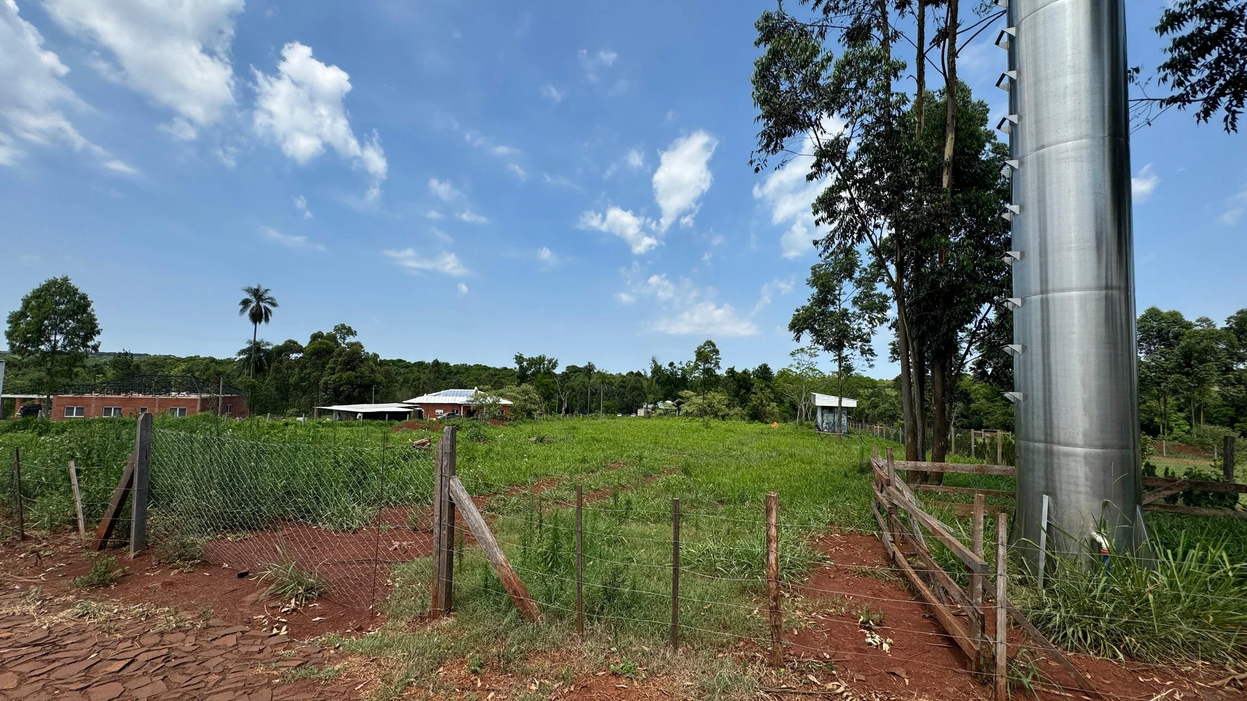 Afbeelding van WhatsApp op 2024-11-11 om 19.33.04_67b5ae63.jpg