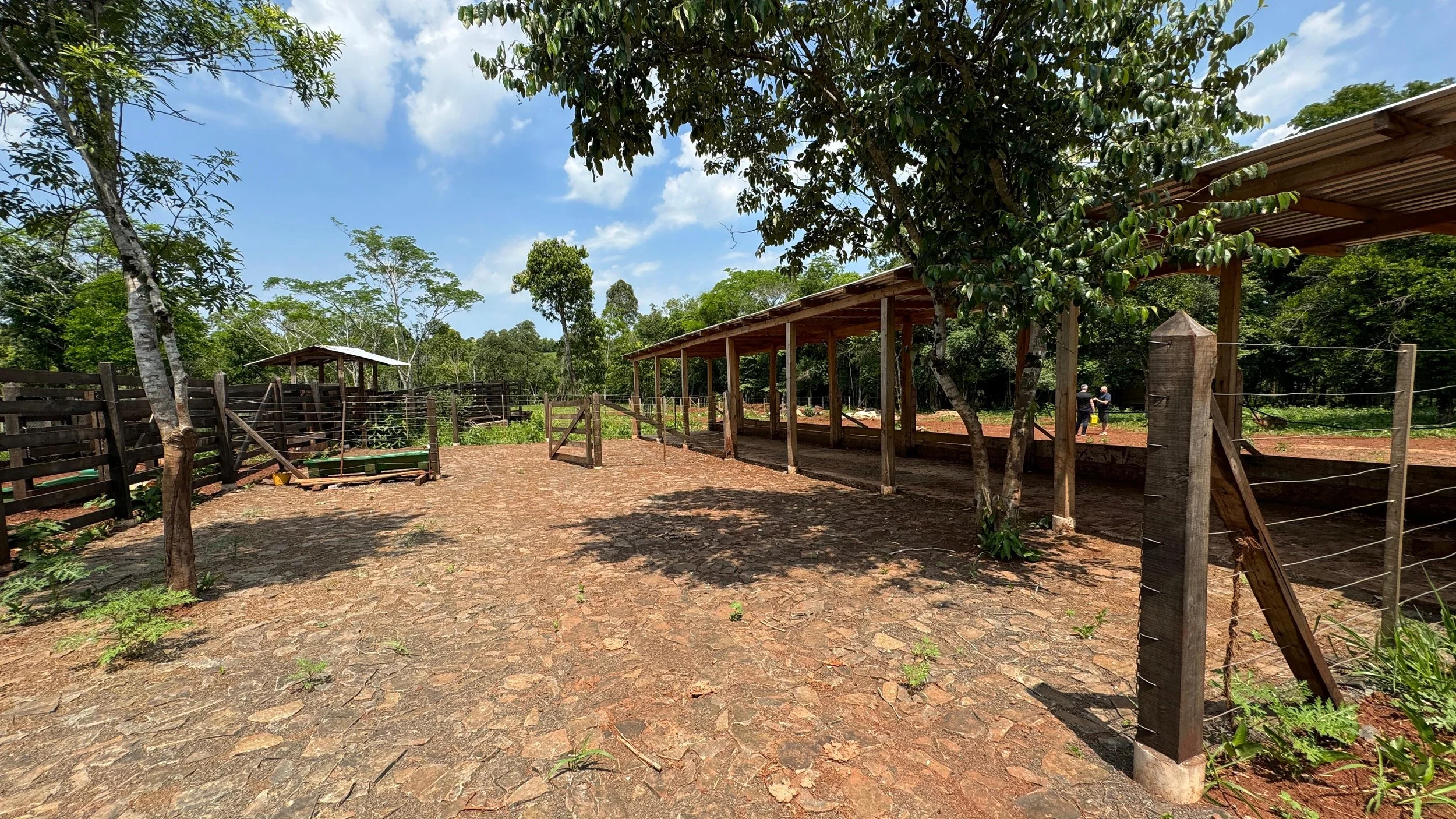 Afbeelding van WhatsApp op 2024-11-11 om 19.33.04_d20fad63.jpg