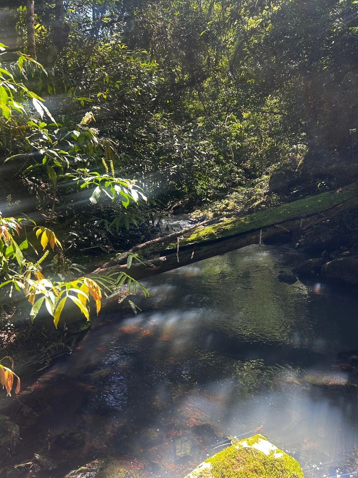 10 ha in Bella Vista Vacay