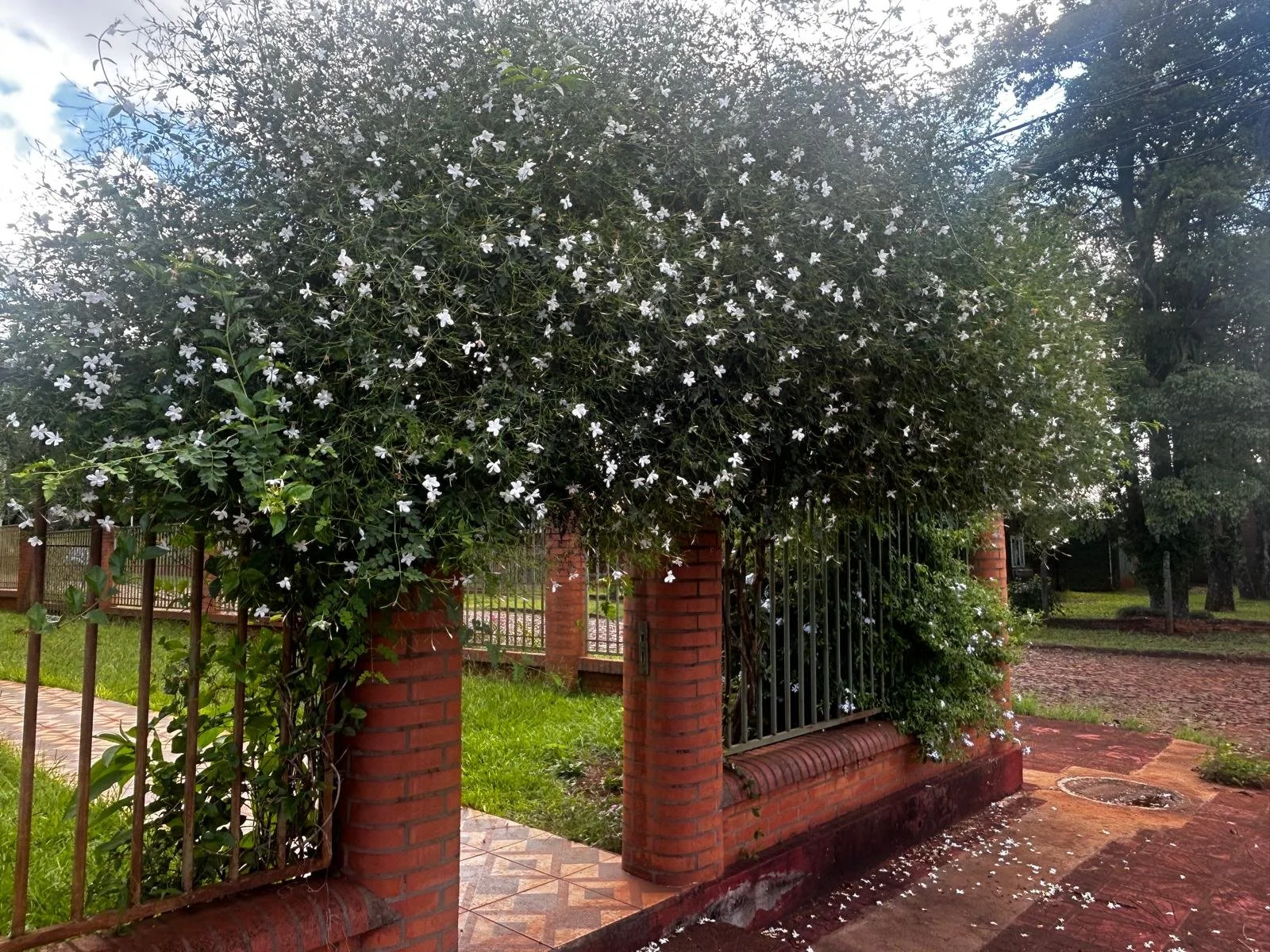 WhatsApp Image 2026-03-27 at 01.36.17.jpeg