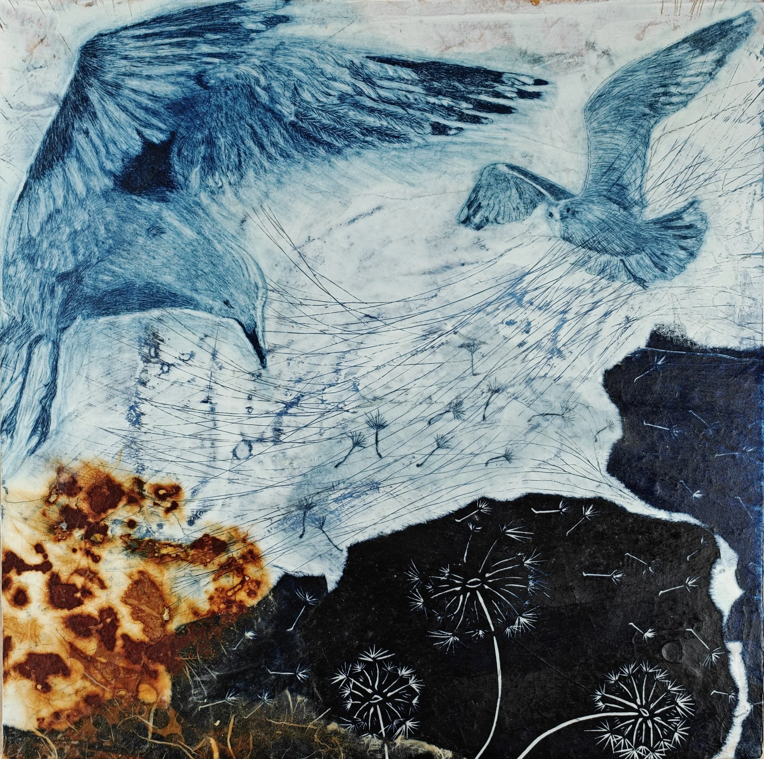 RBirkenes--Gulls divining their fate--2026.jpg