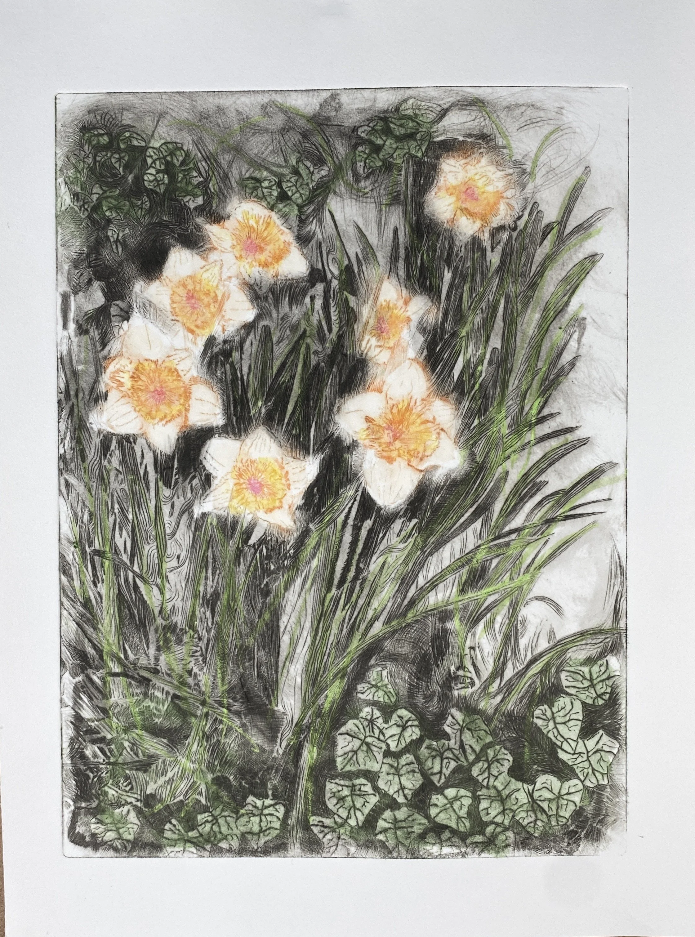 Early Spring, 2025, watercolor drypoint print, 9"x12"