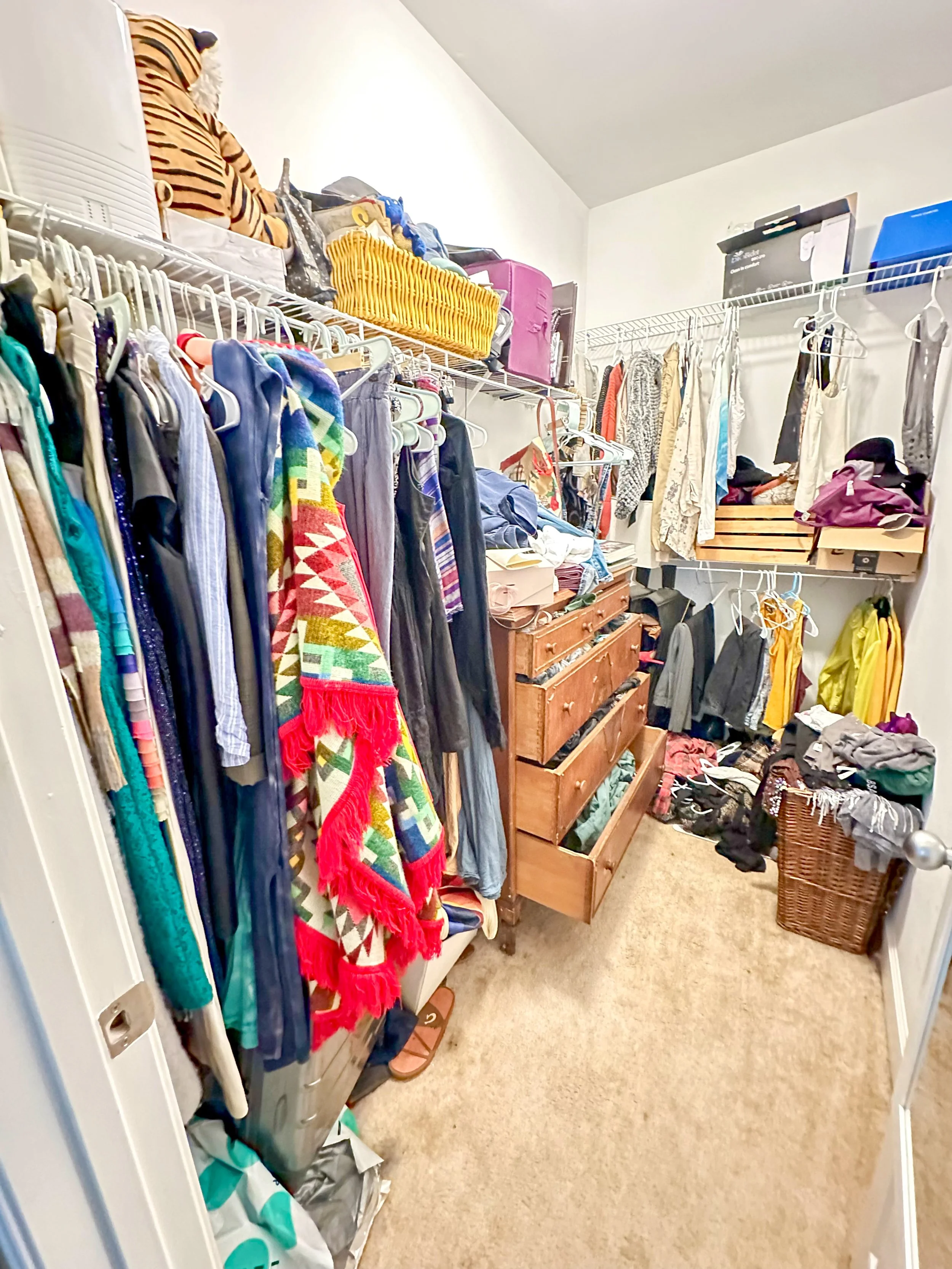 Closet 2 - Before 1.JPG