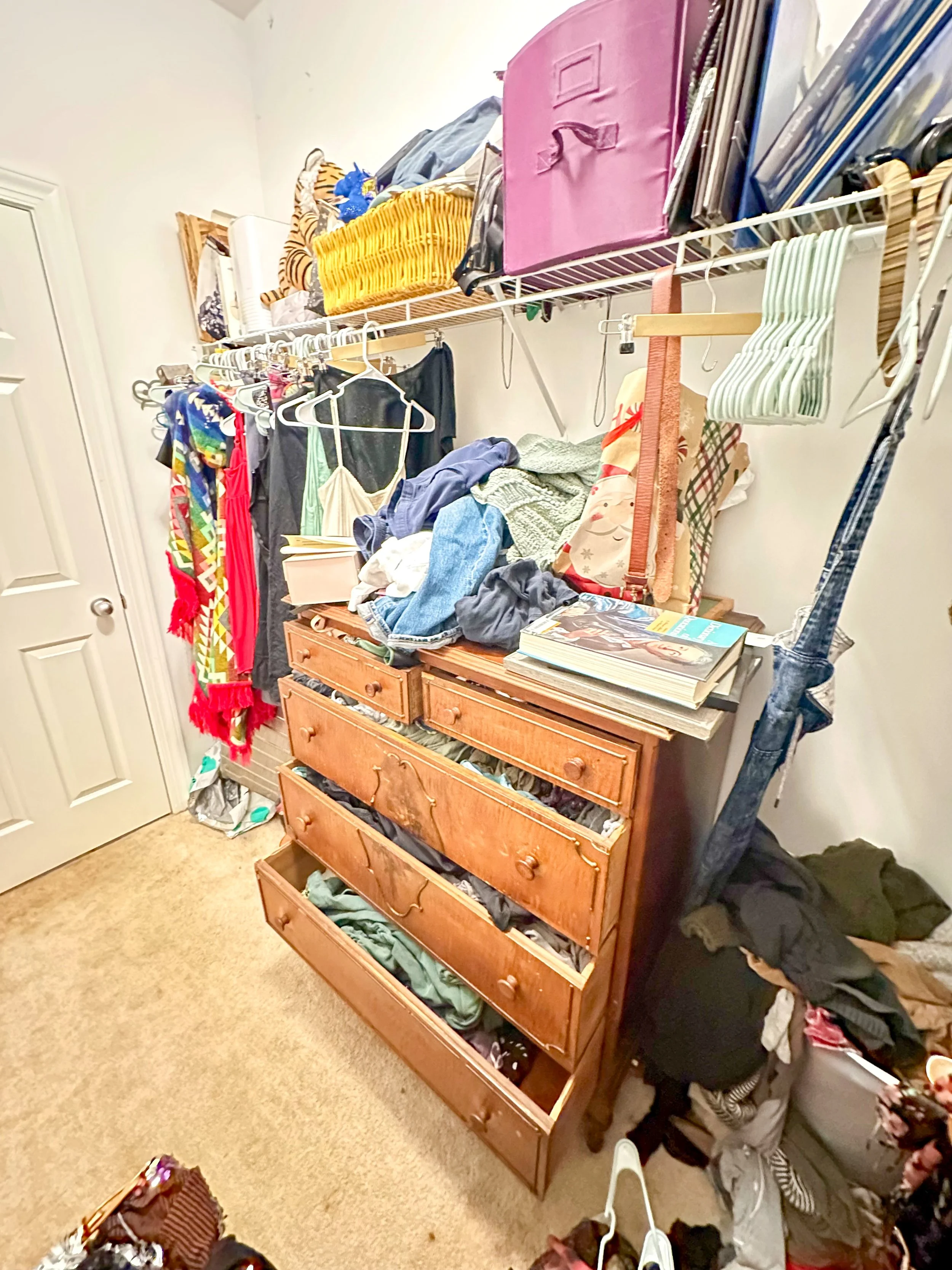 Closet 2 - Before 2.JPG
