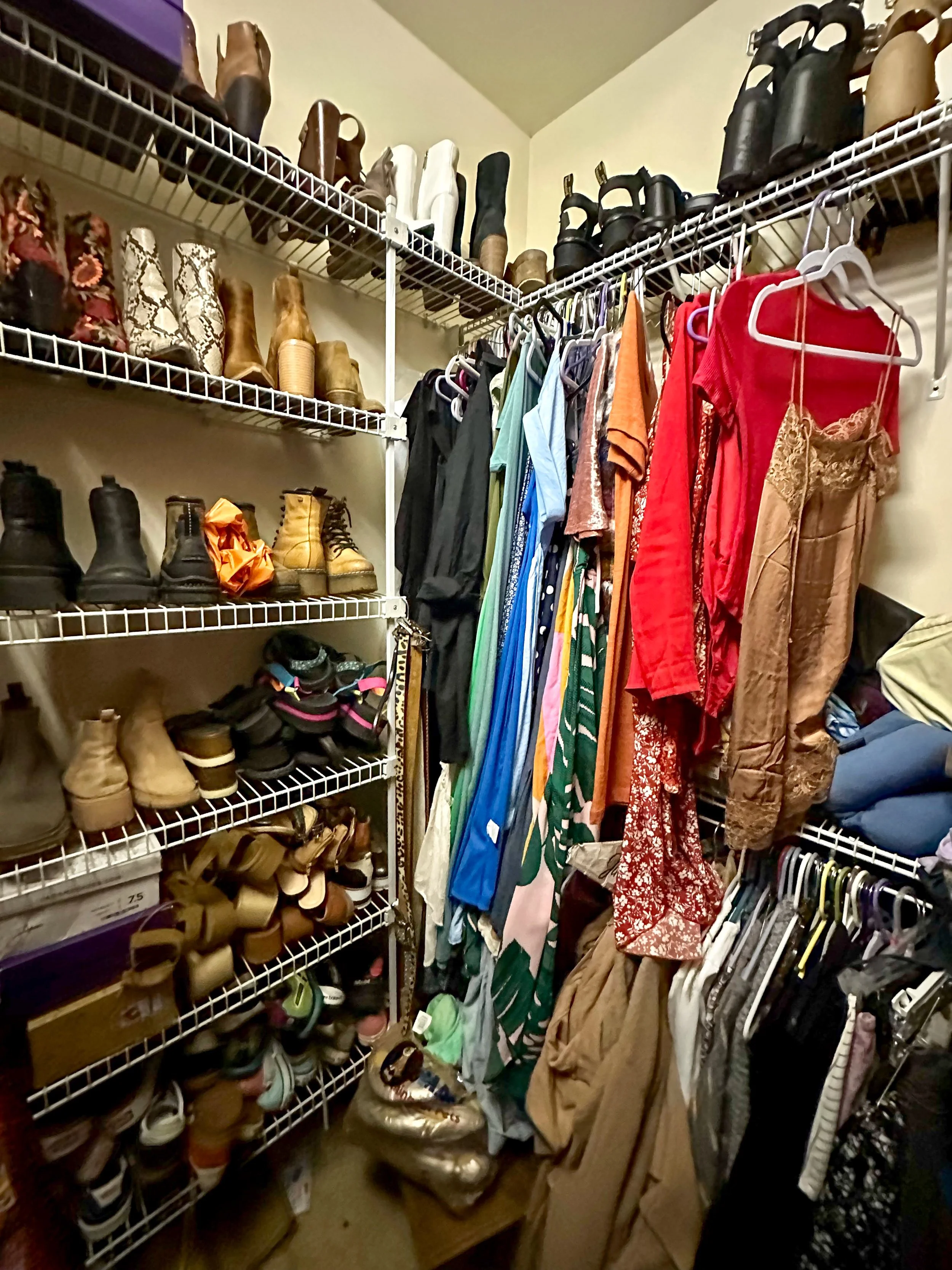 Closet 1 - Before 2.JPG