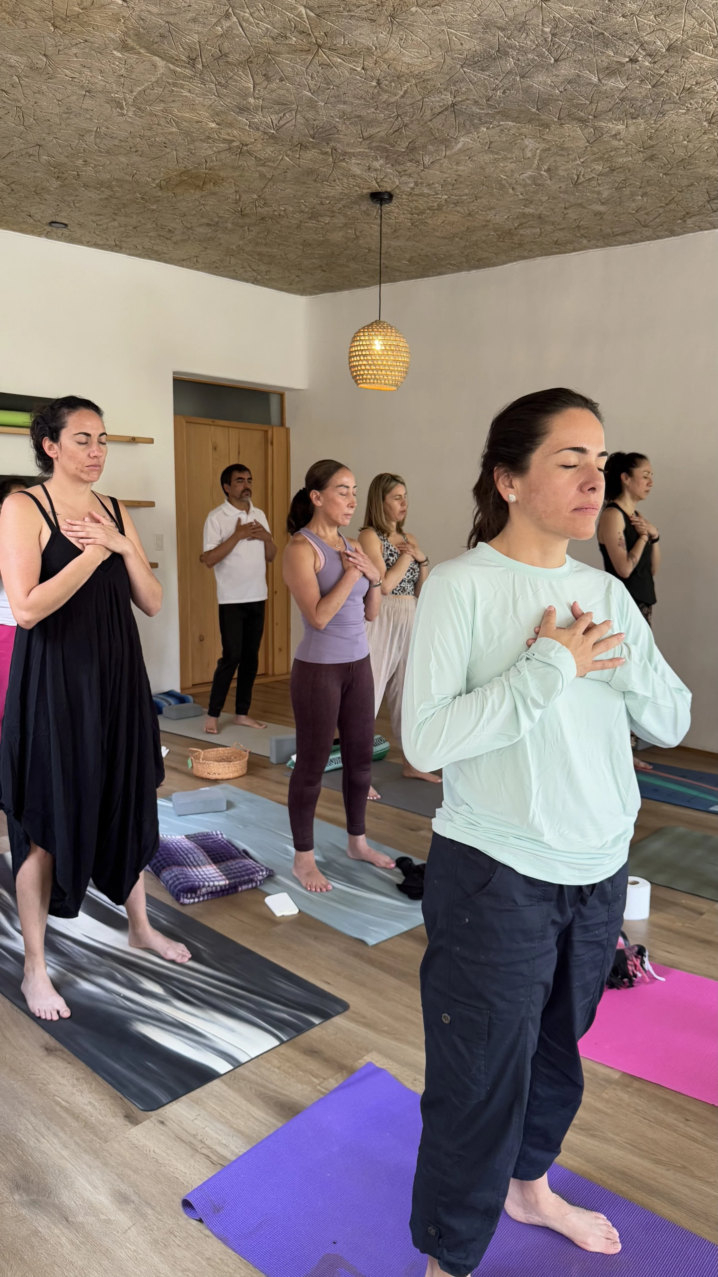 wellness experience 
