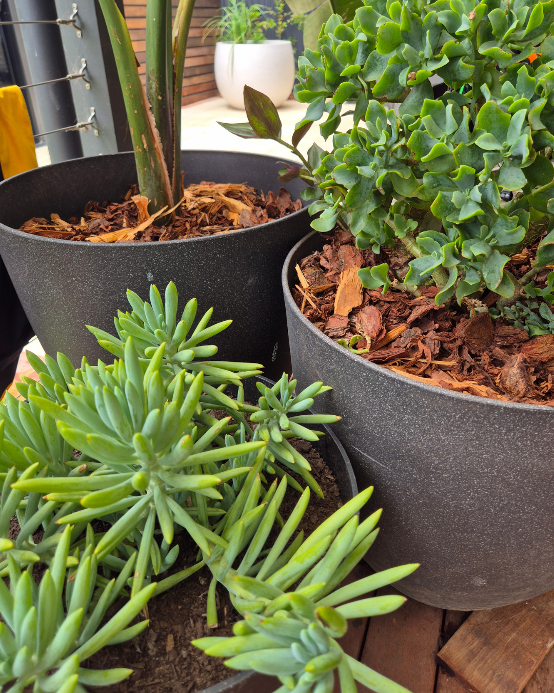 best landscaper adelaide