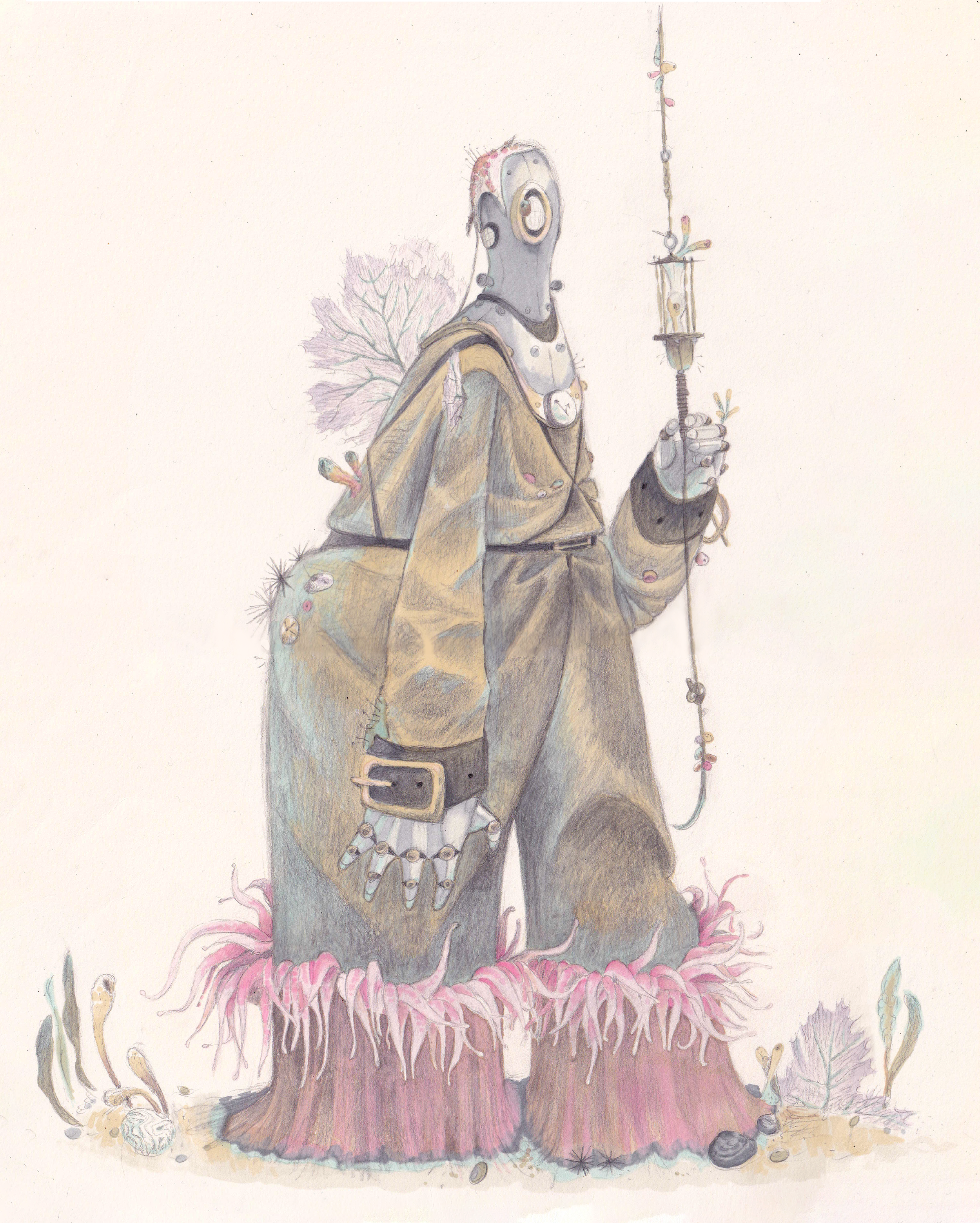 gros anemone scaph v2.png