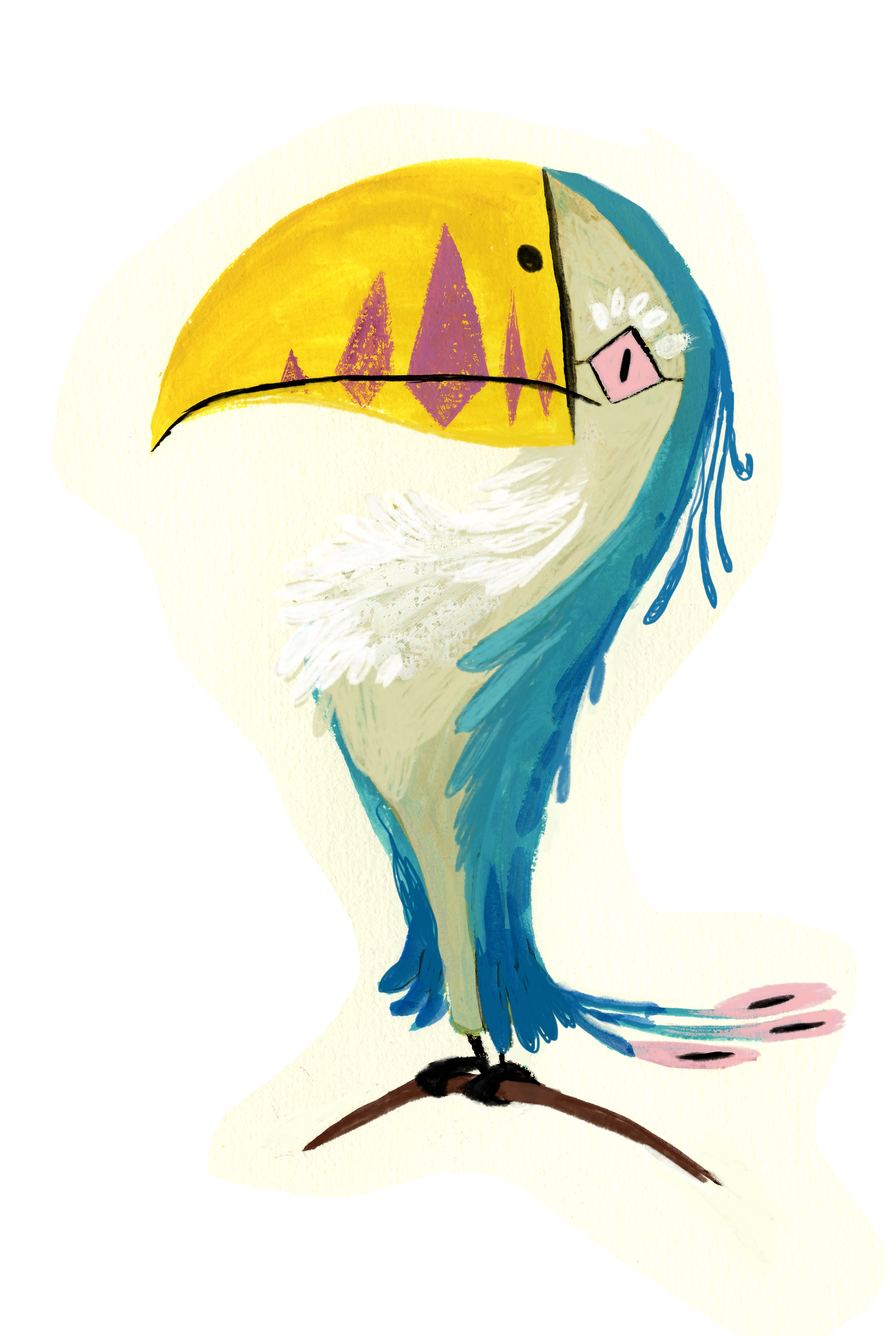 toucan.png