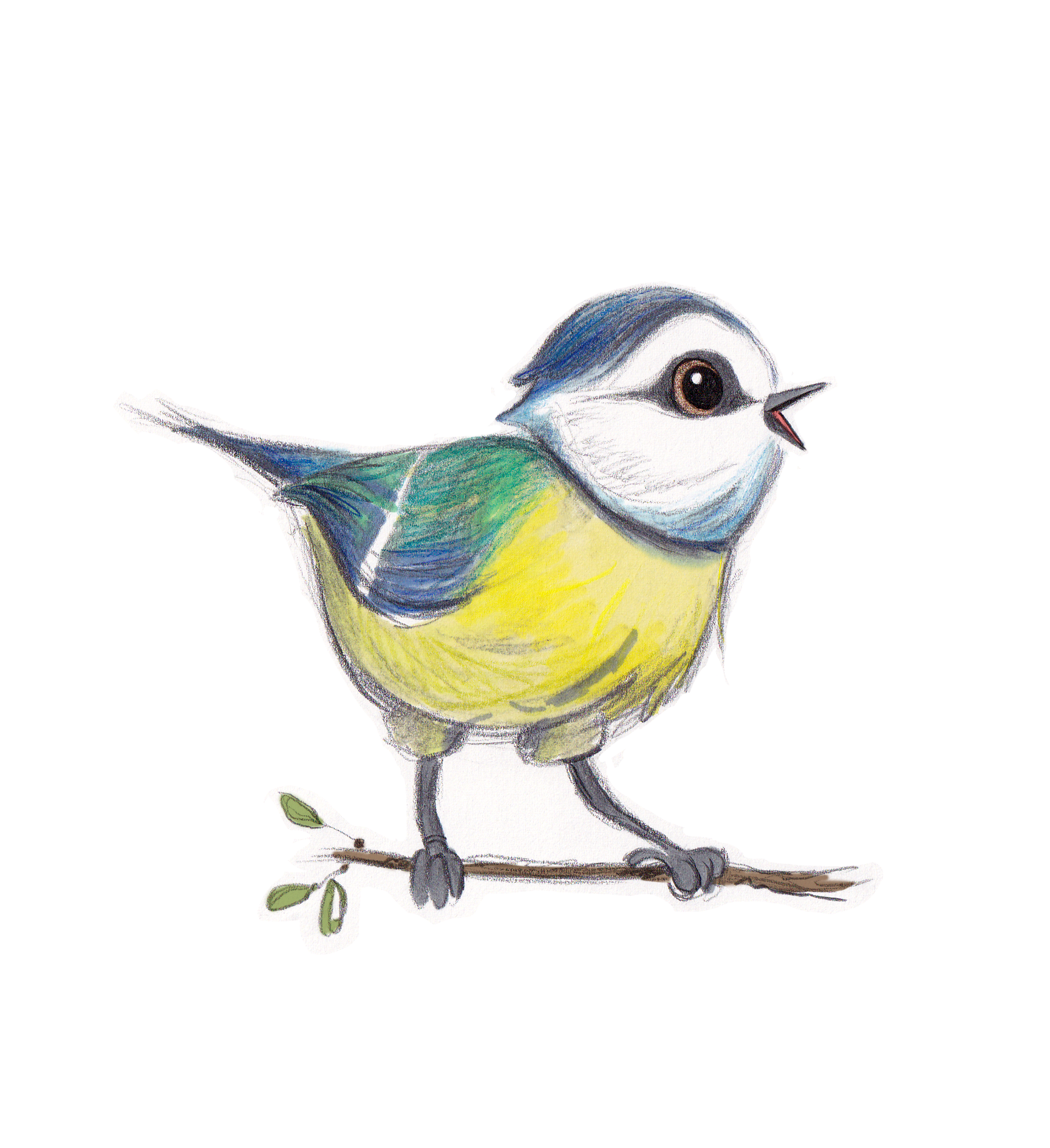 Bird3_baby_v2.png