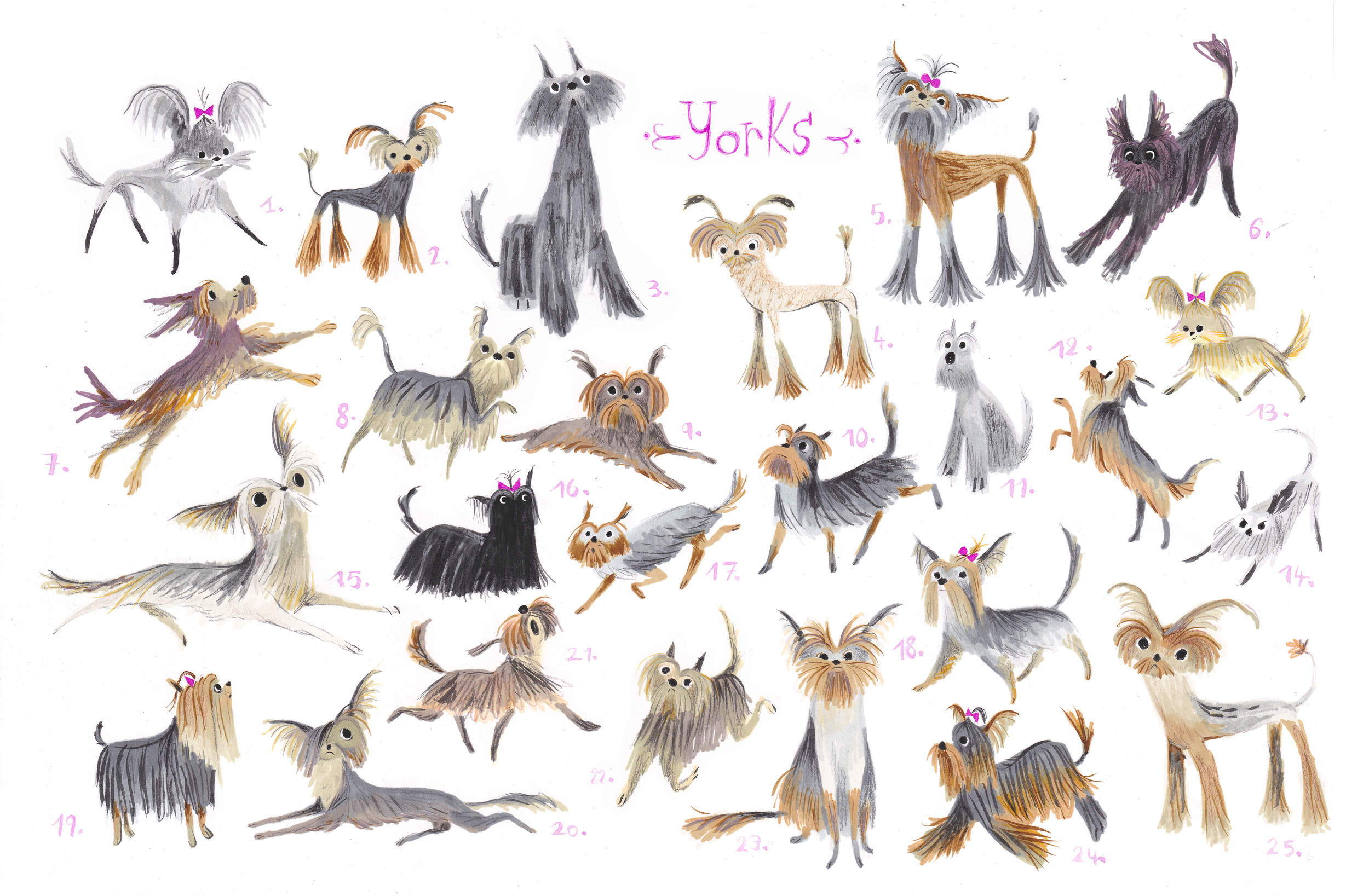 yorks sheet.png