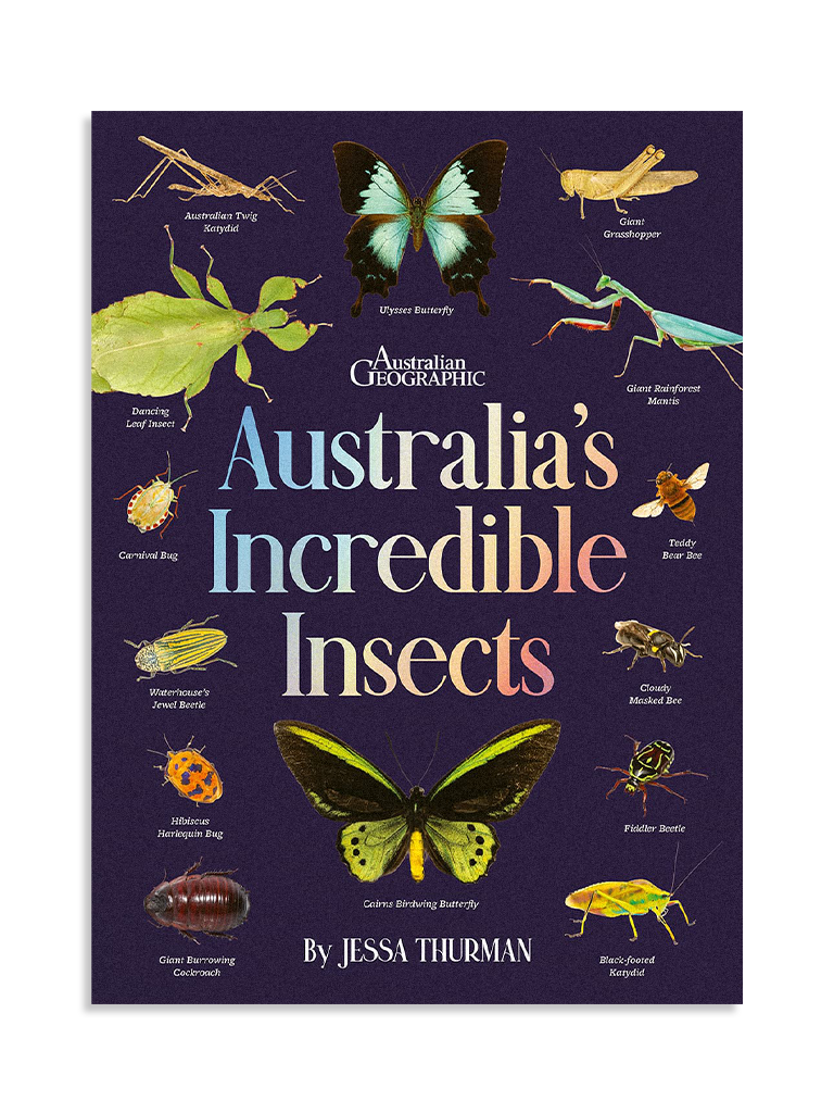Australia's Incredible Insects • 2026