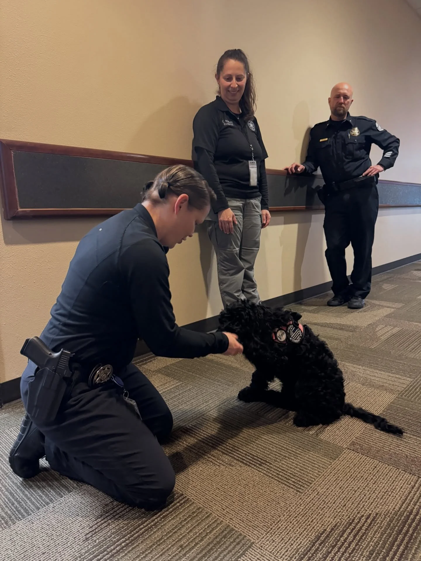 Ms. Lola stopped by police department today to say hello! 
She got lots of pets, snuggles and her ball thrown 🎾 She is learning and growing so fast. We cannot wait to have her here as the Woodburn Police Comfort/Wellness K9! 🐾

#WoodburnPoliceFound