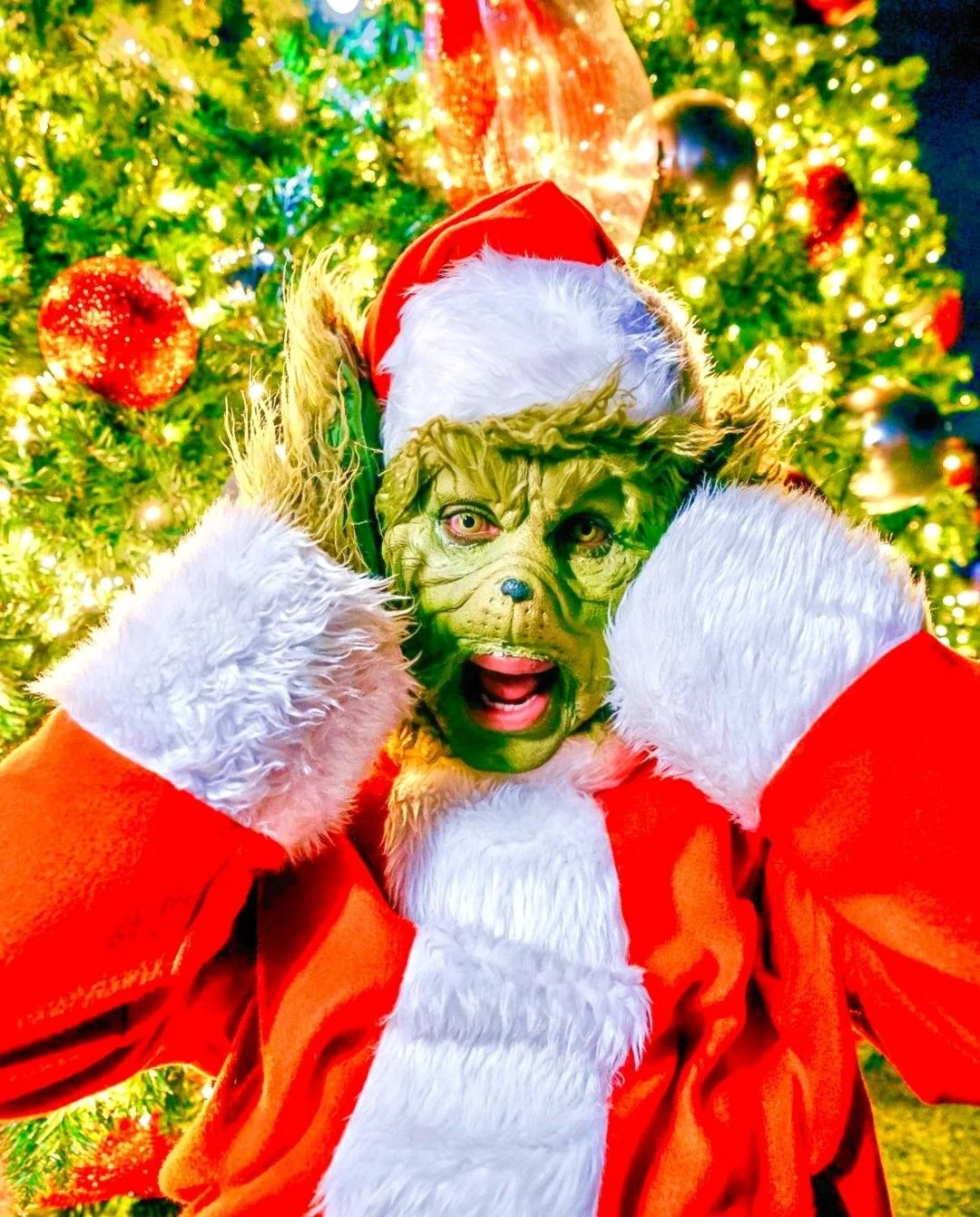 A child dressed as the Grinch wearing a Santa hat and Santa suit, standing in front of a decorated Christmas tree.