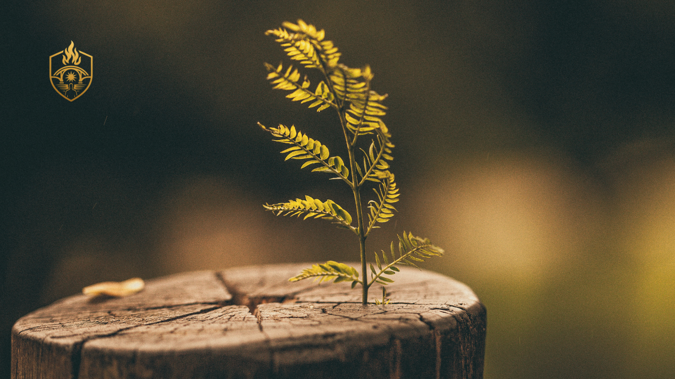 Reframing Adversity as an Invitation for Growth