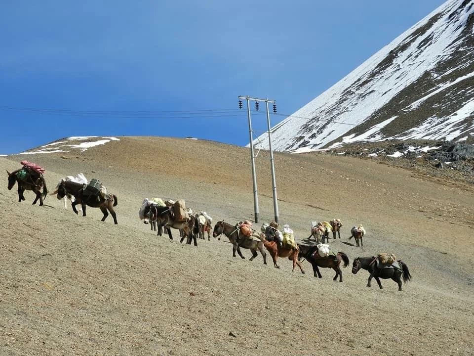 WhatsApp Image 2025-01-27 at 15.30.15_2ca7c1e4.jpg