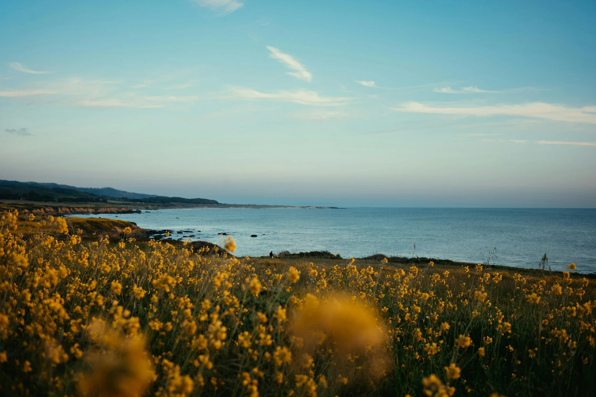 land stewardship environmental consultancy