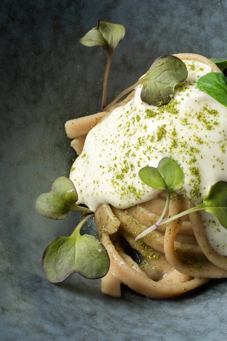 Food photography per ristoranti: pasta con burrata e germogli, foto di Matilde Rindi, fotografa a Prato