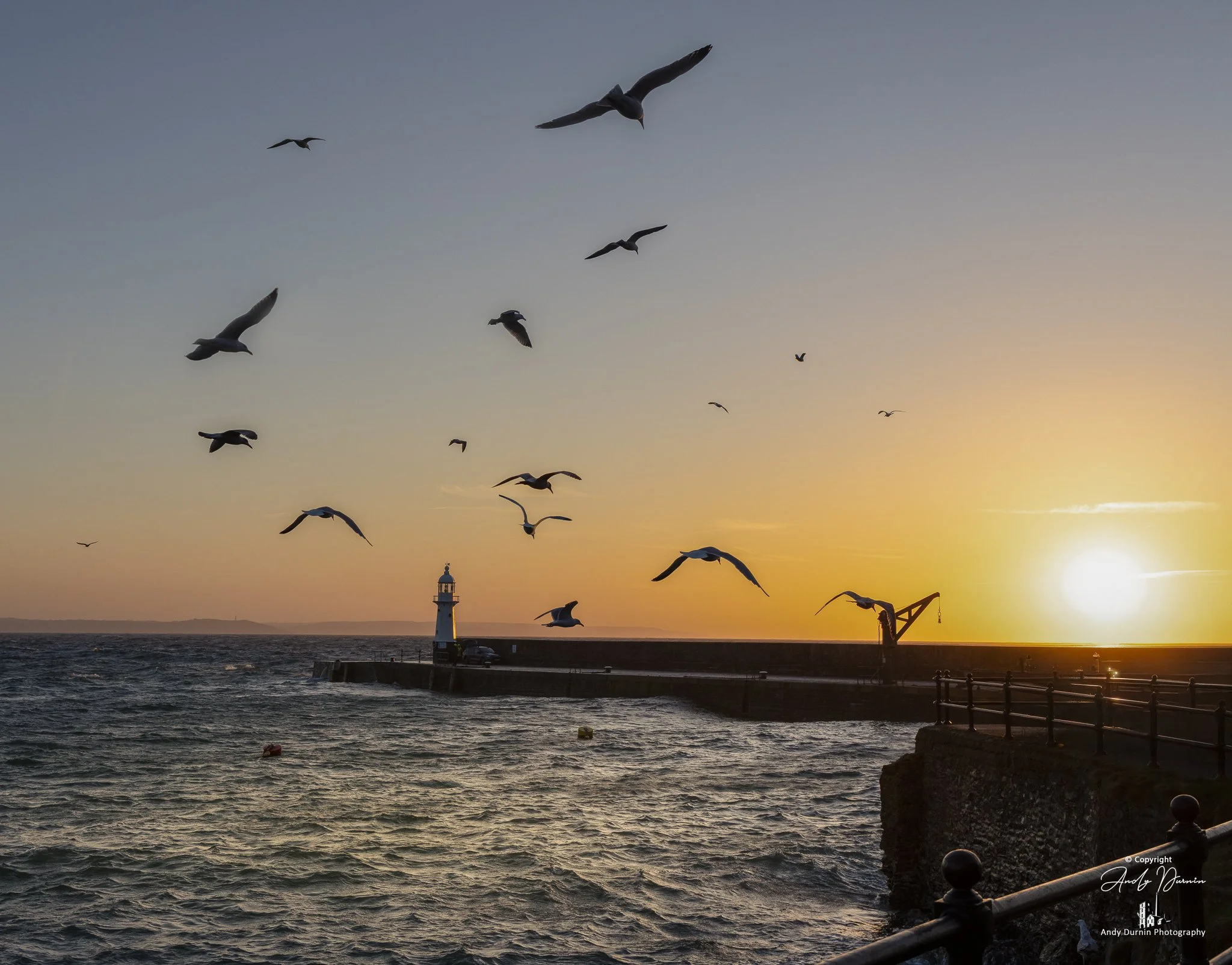 Seagulls flying over Mevagissey harbour wall at sunset, with warm golden light illuminating the lighthouse, choppy sea and silhouetted pier railings.