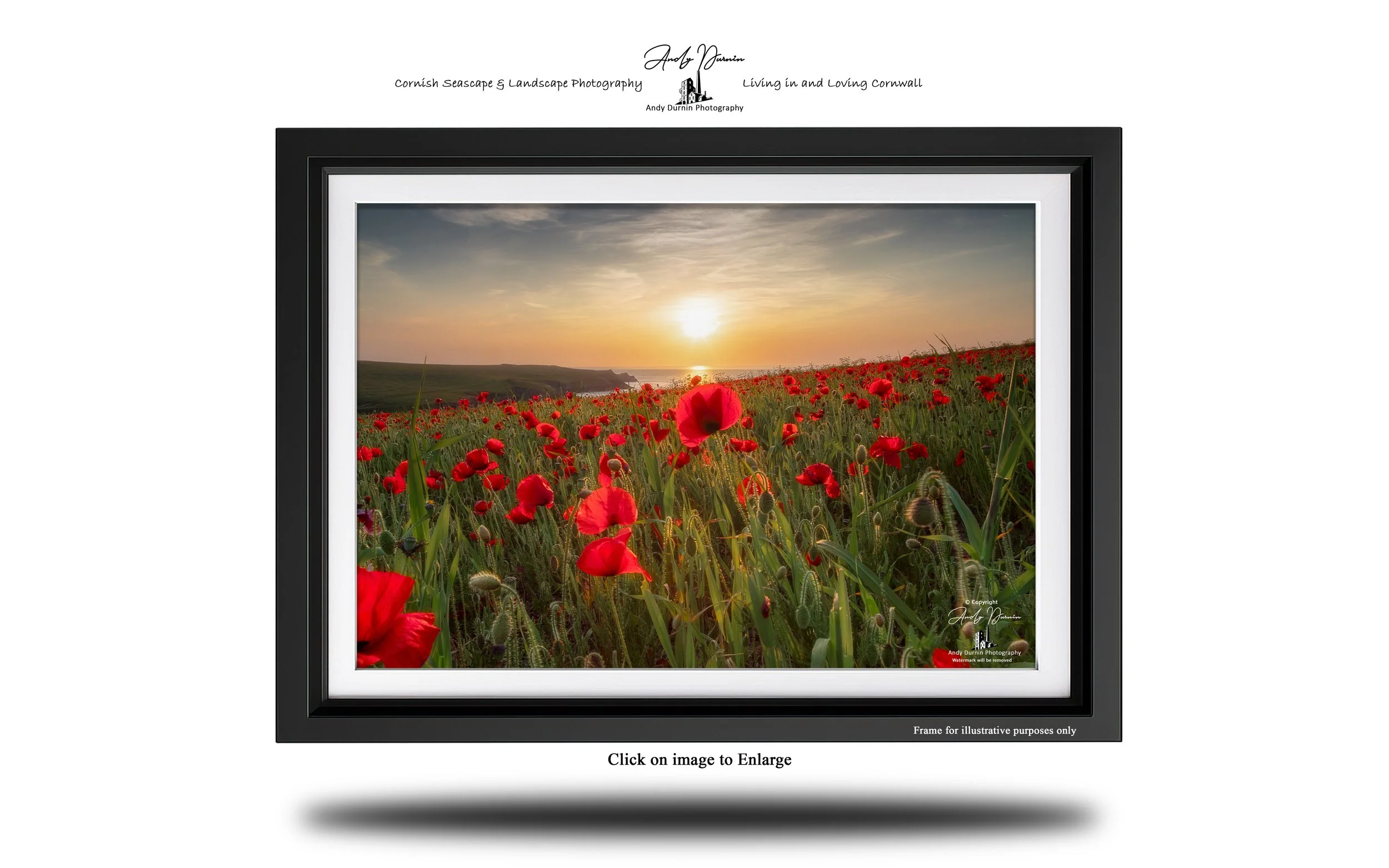 Colourful Cornish landscape showing red poppies and a coastal sunset at Polly Joke.