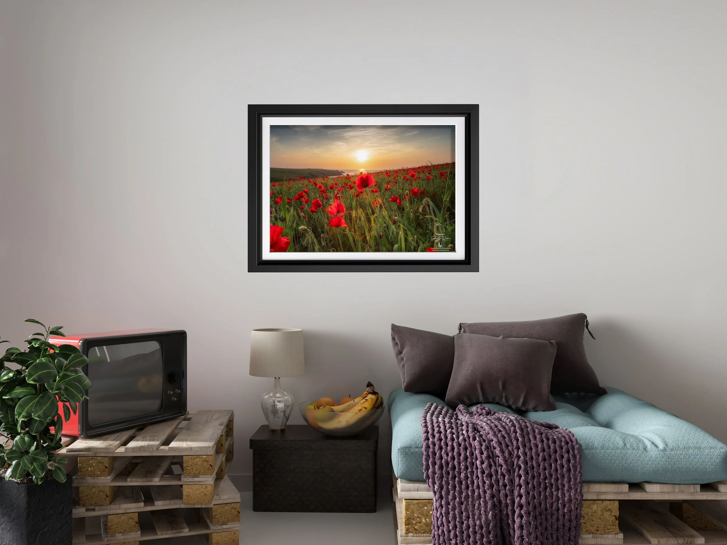 Cornwall coastal sunset with bright red poppies covering the hillside at Polly Joke