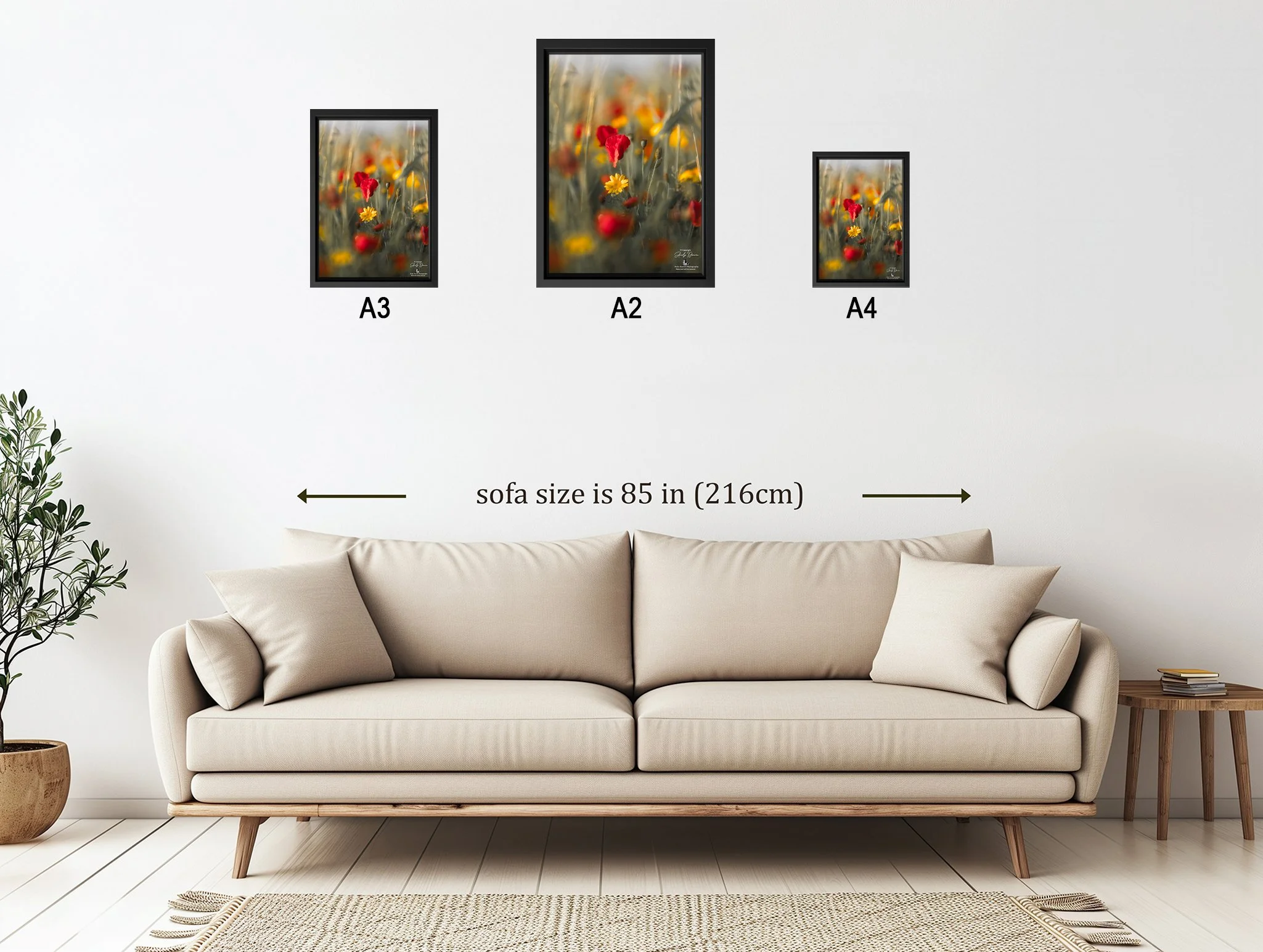 sizeguideimage Landscape copy 2.jpg
