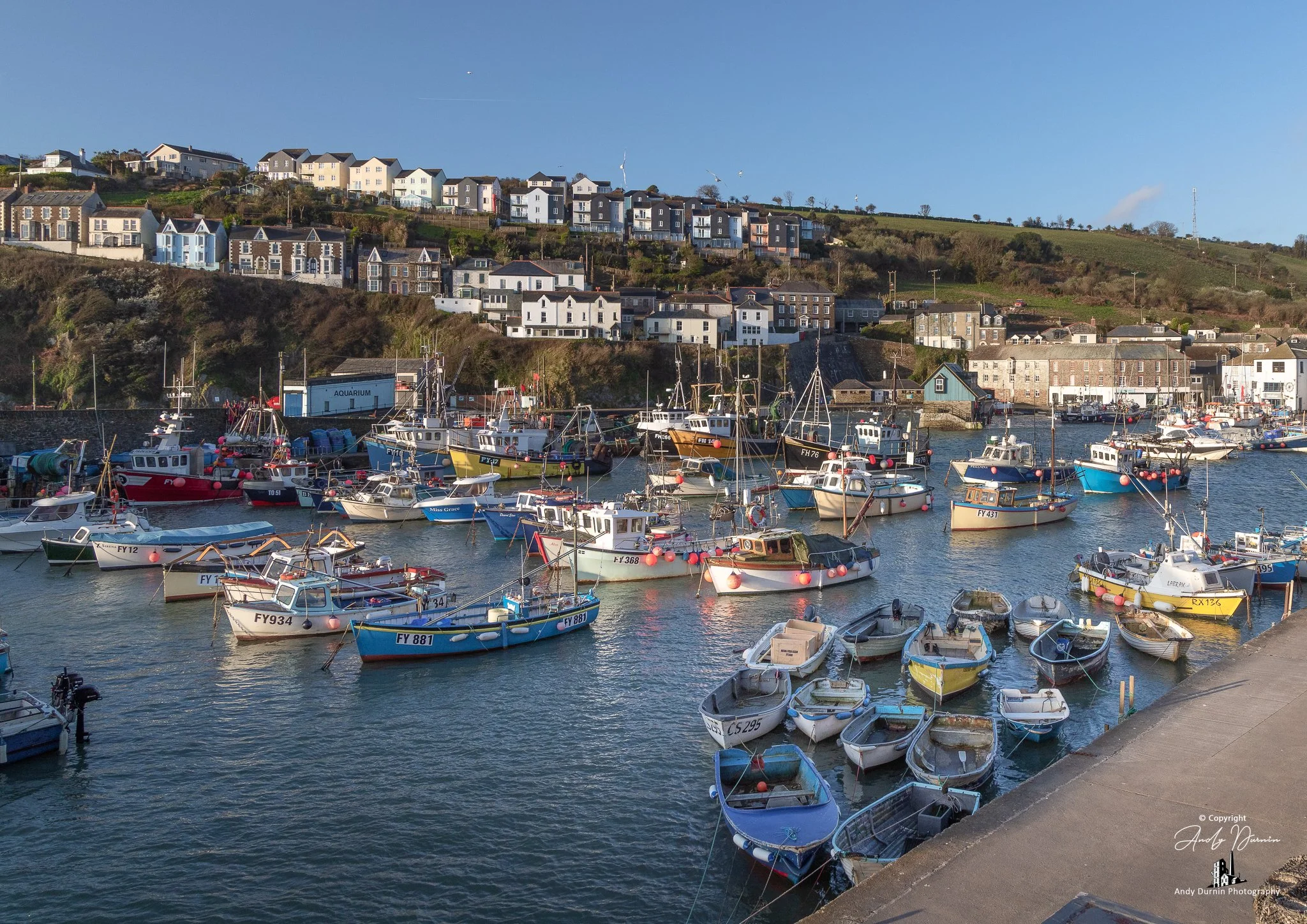 A wide view of Mevagissey Harbour filled with colourful fishing boats and small dinghies, with hillside cottages and clear blue skies creating a bright coastal scene.