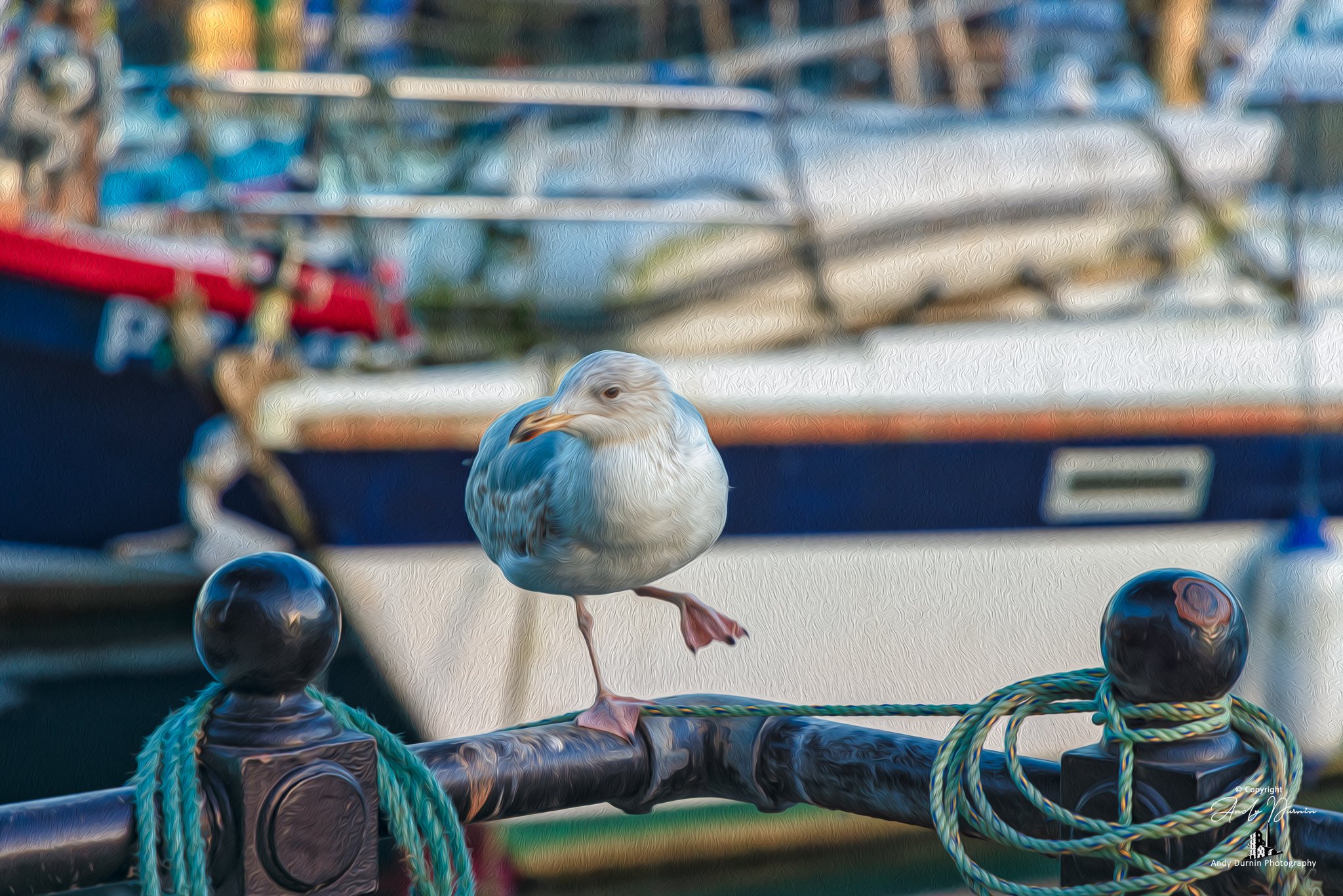 A painterly-style image of a seagull balancing on one leg atop a harbour railing in Mevagissey, with textured fishing boats and soft coastal colours behind.