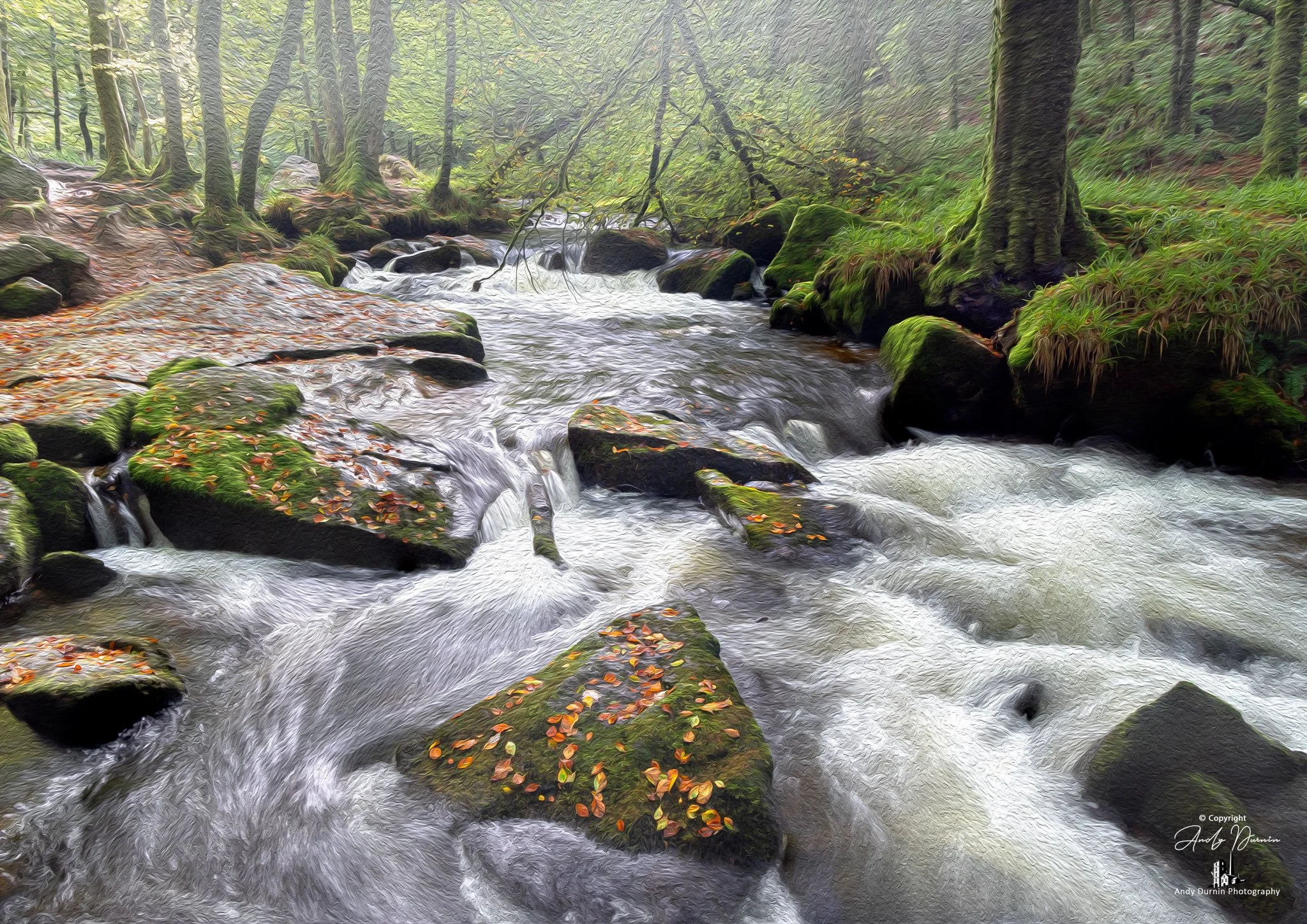 Golitha Falls and the River Fowey surrounded by moss-covered rocks and trees in a lush, green forest.