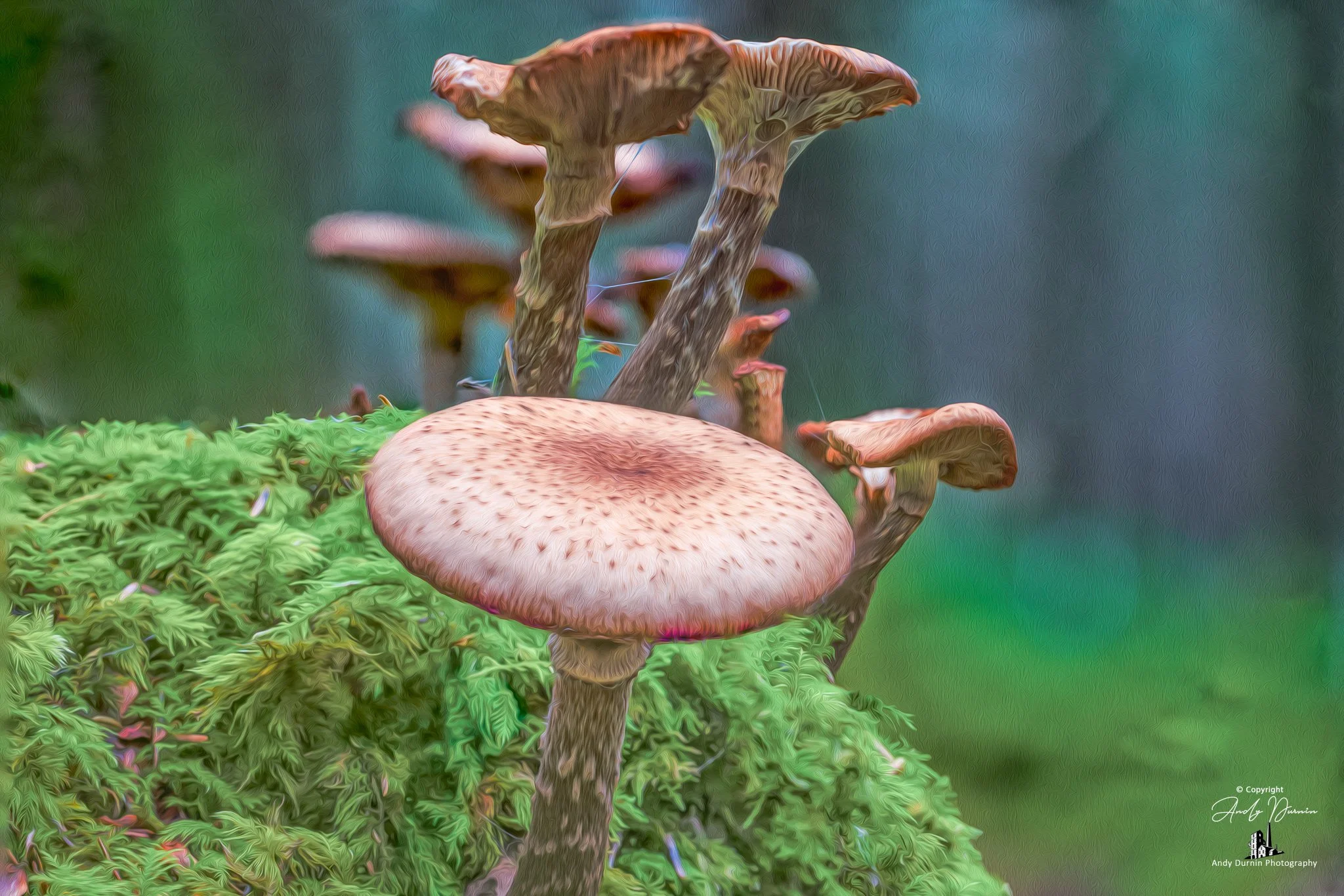 A cluster of brown mushrooms growing on mossy ground with a blurred green background.