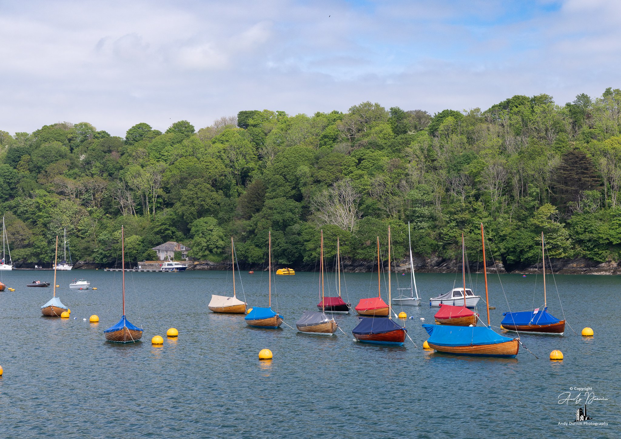 Traditional boats and bright mooring buoys floating on the River Fowey in Cornwall, with a wooded shoreline and calm water textures—peaceful coastal décor with a timeless nautical feel.