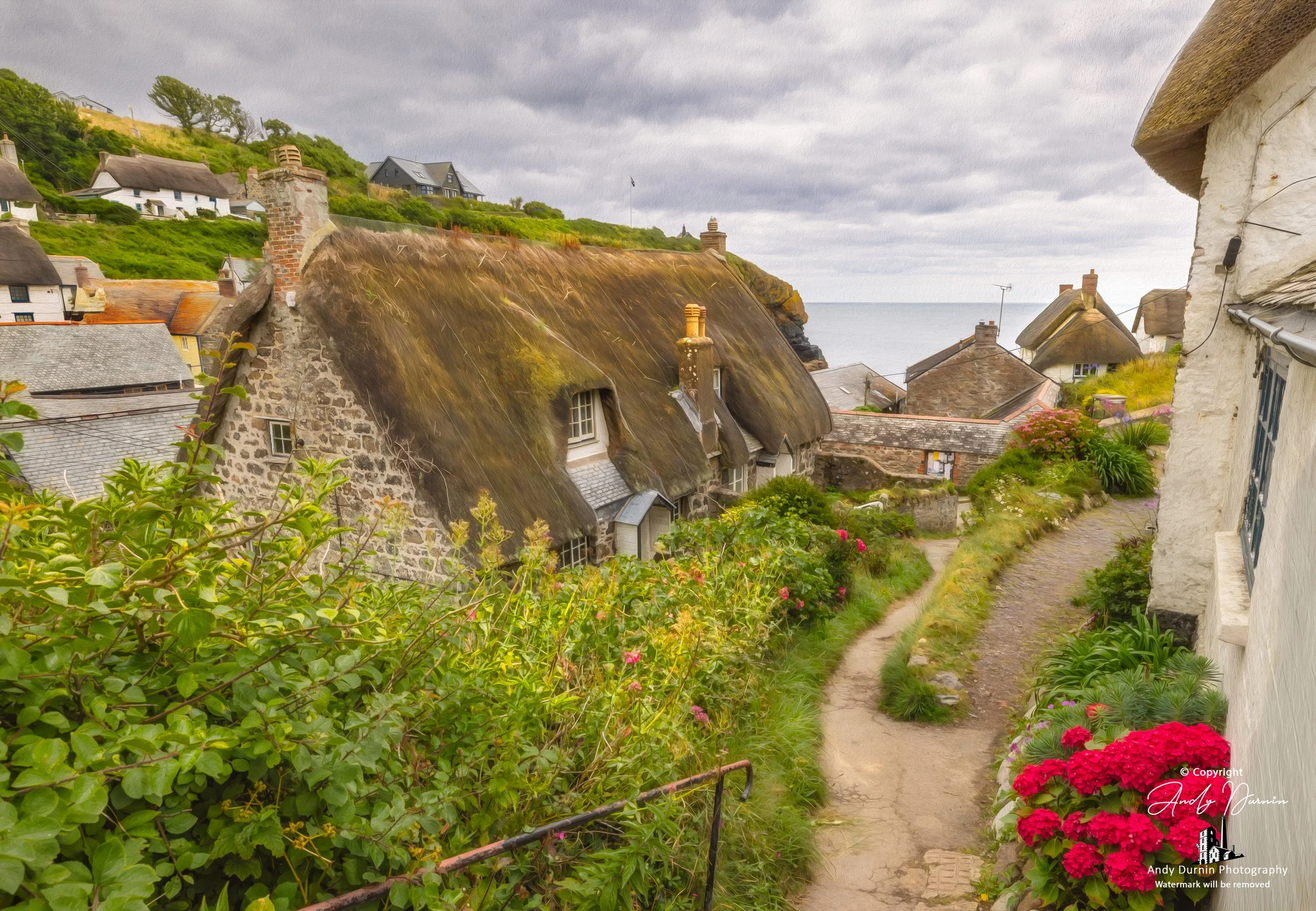 Painterly view of a thatched cottage and narrow path leading down to Cadgwith Cove Harbour in Cornwall.