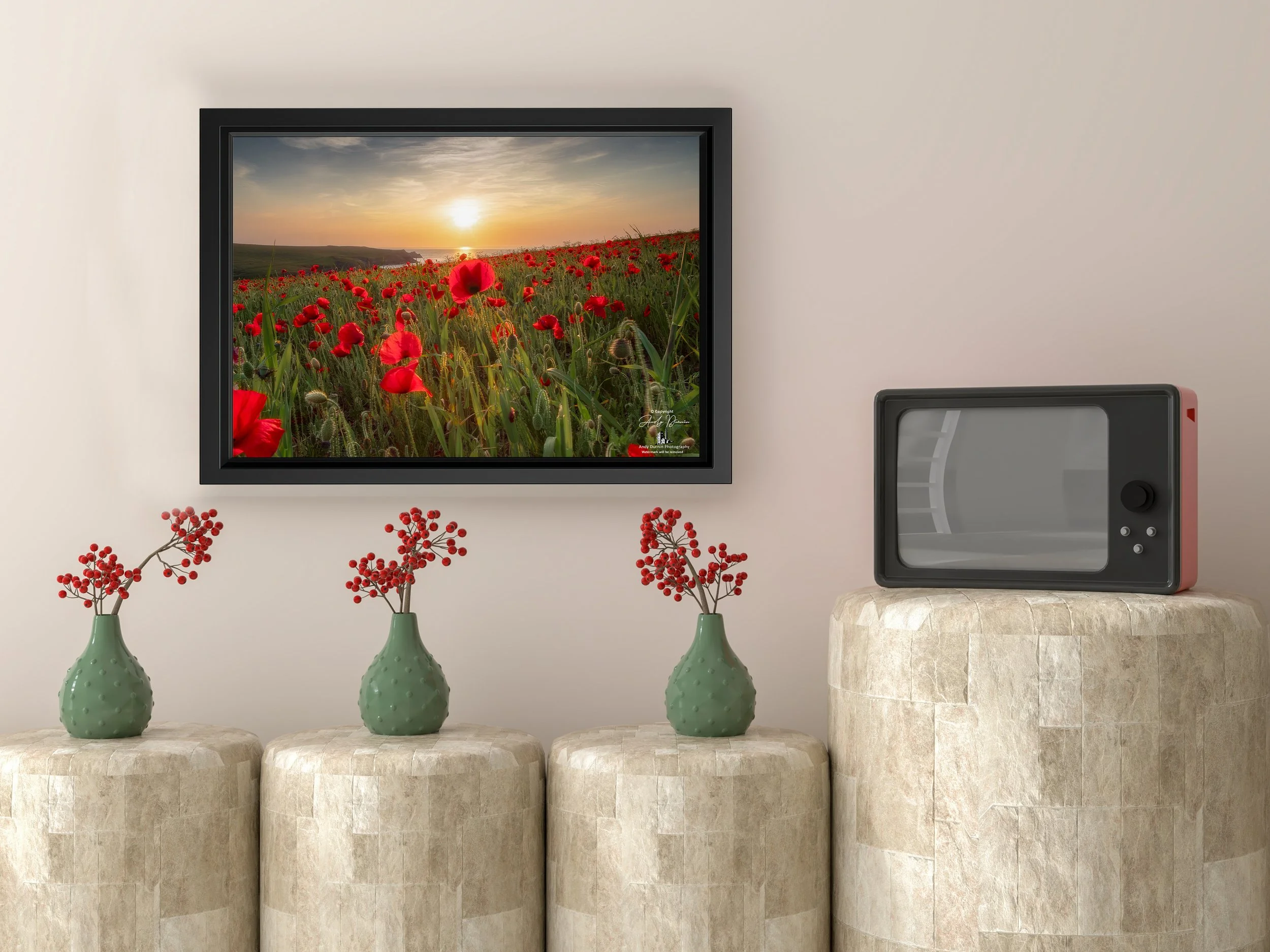 Evening sunlight shining through a field of red poppies near Polly Joke beach in Cornwall.
