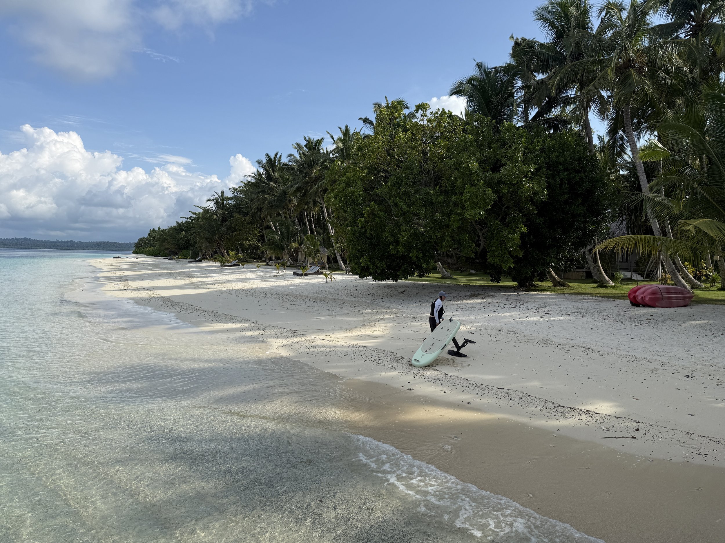 Flying in a blue dream …