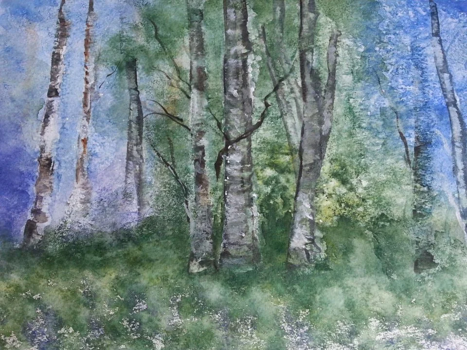 Bild von IsenbART zeigt einen Birkenwald in Aquarell
