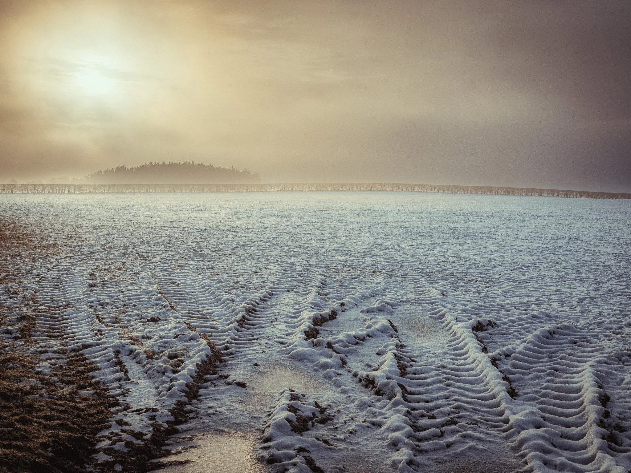 Low Winter Sun
