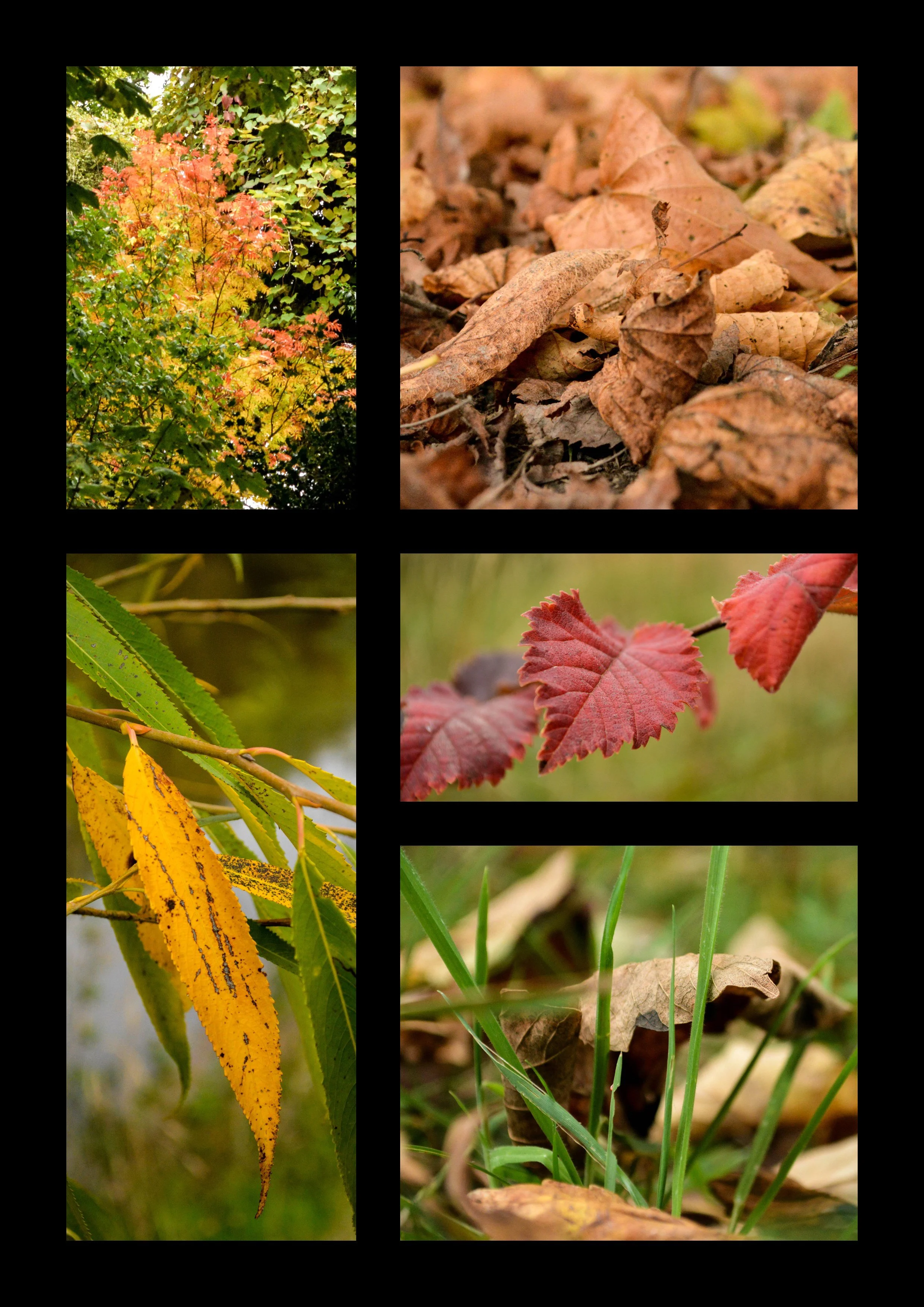 October