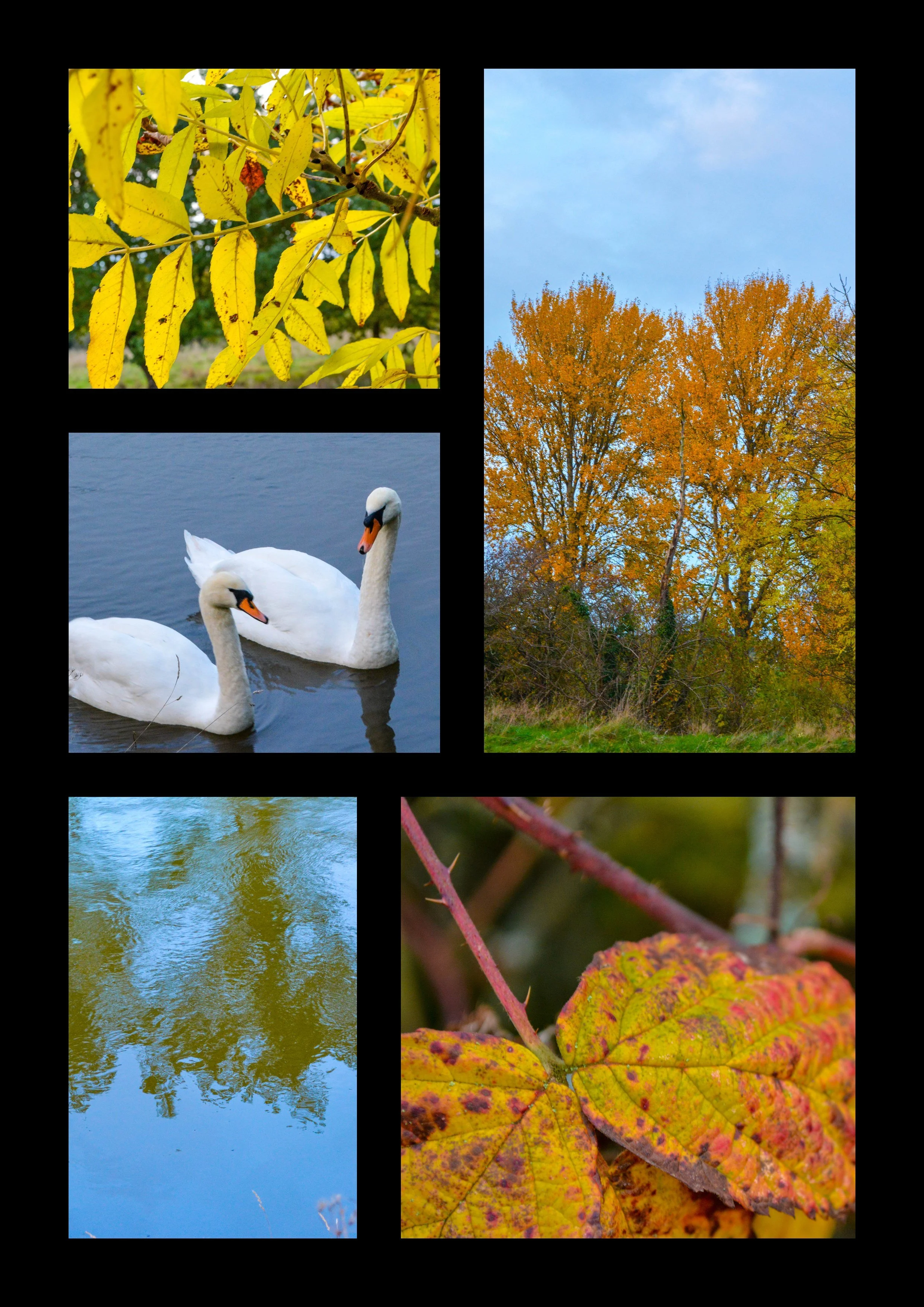 November