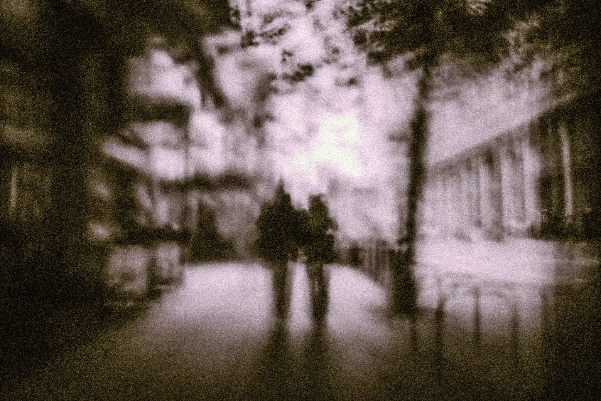 A black and white photo of a street scene with trees lining the sidewalk, and buildings in the background. The image is blurry and dark.