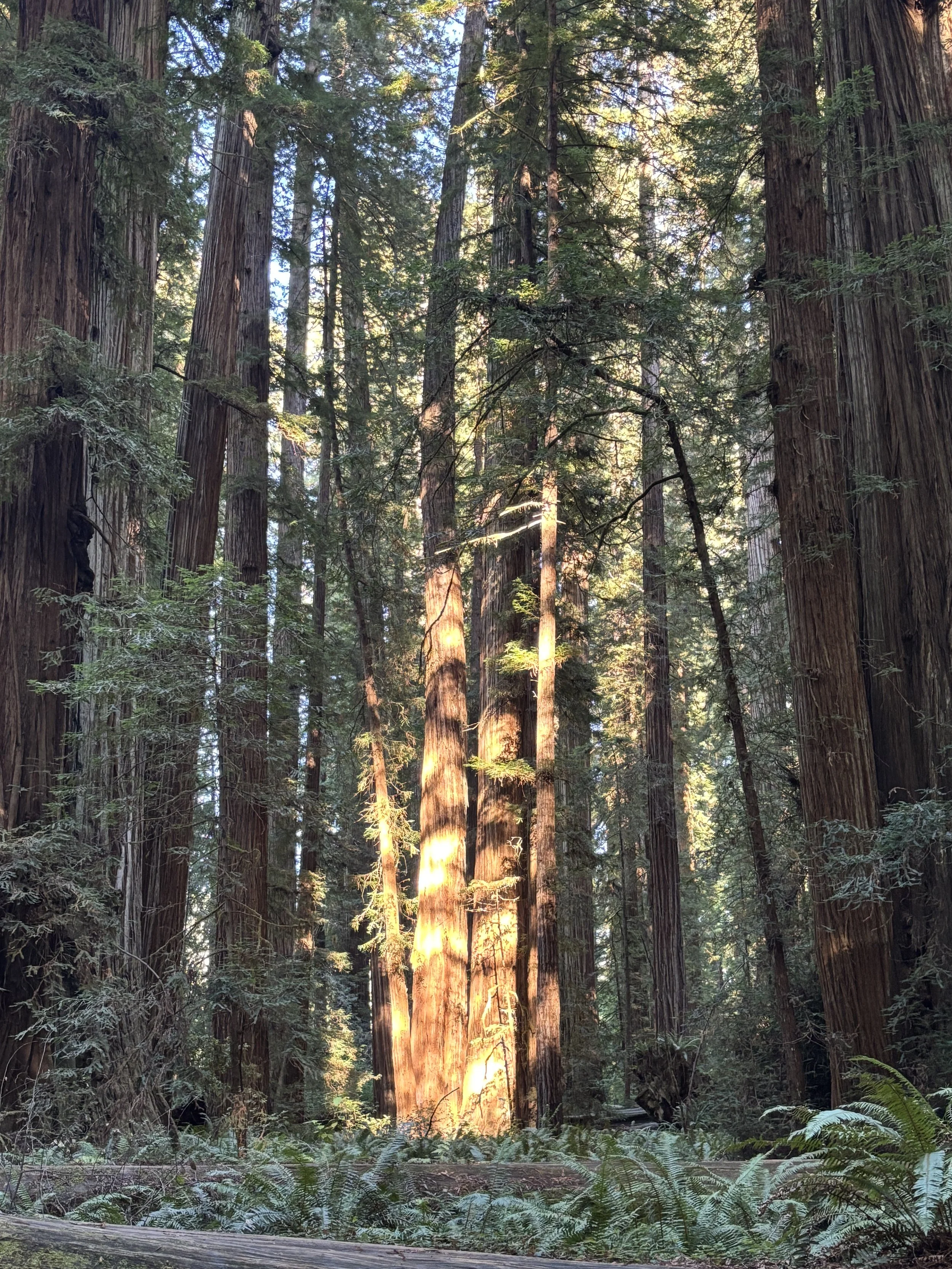 Nature as my teacher:&nbsp; Finding meaning