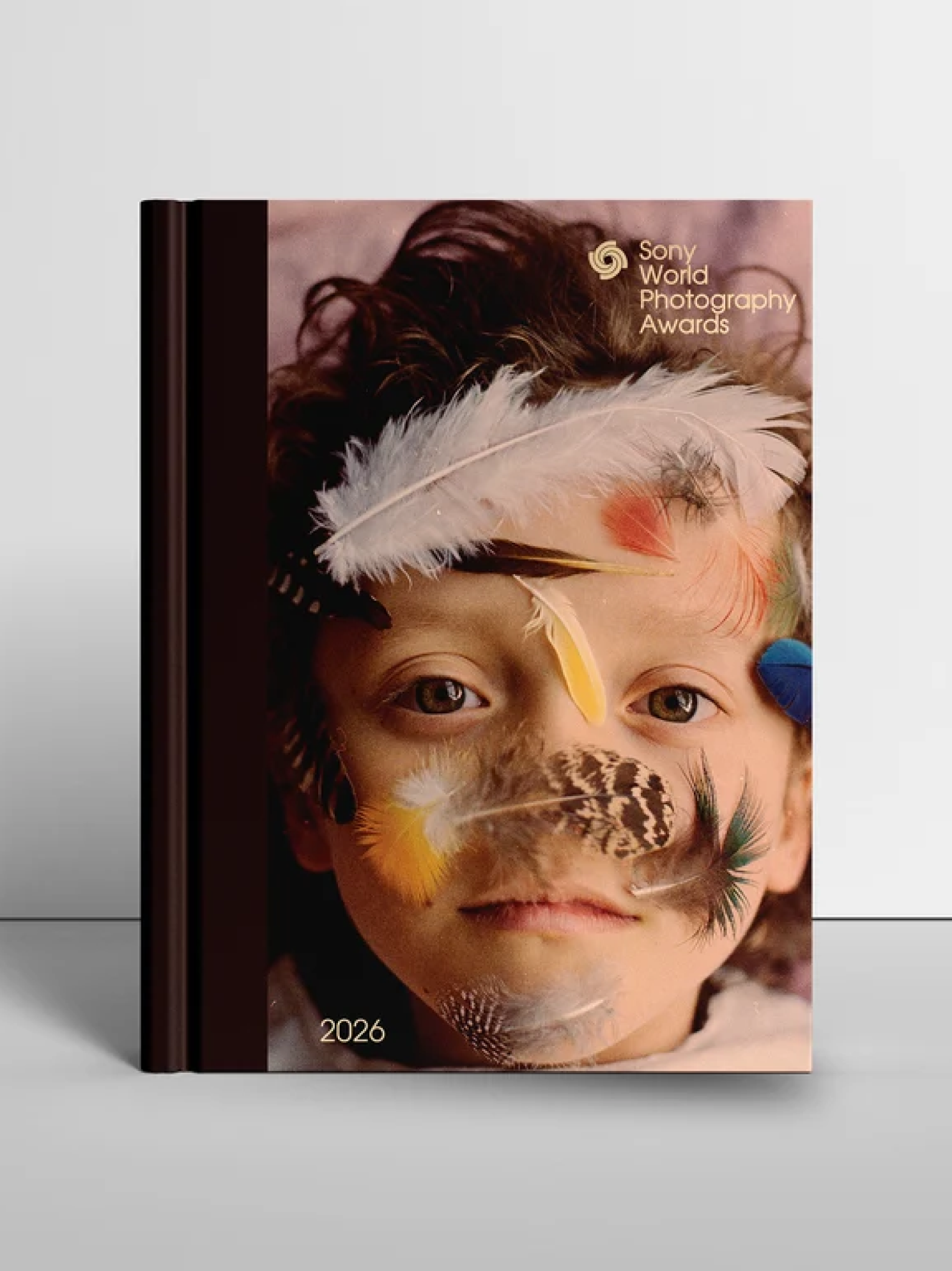 Colour Divides Published in the 2026 Sony World Photography Awards Book