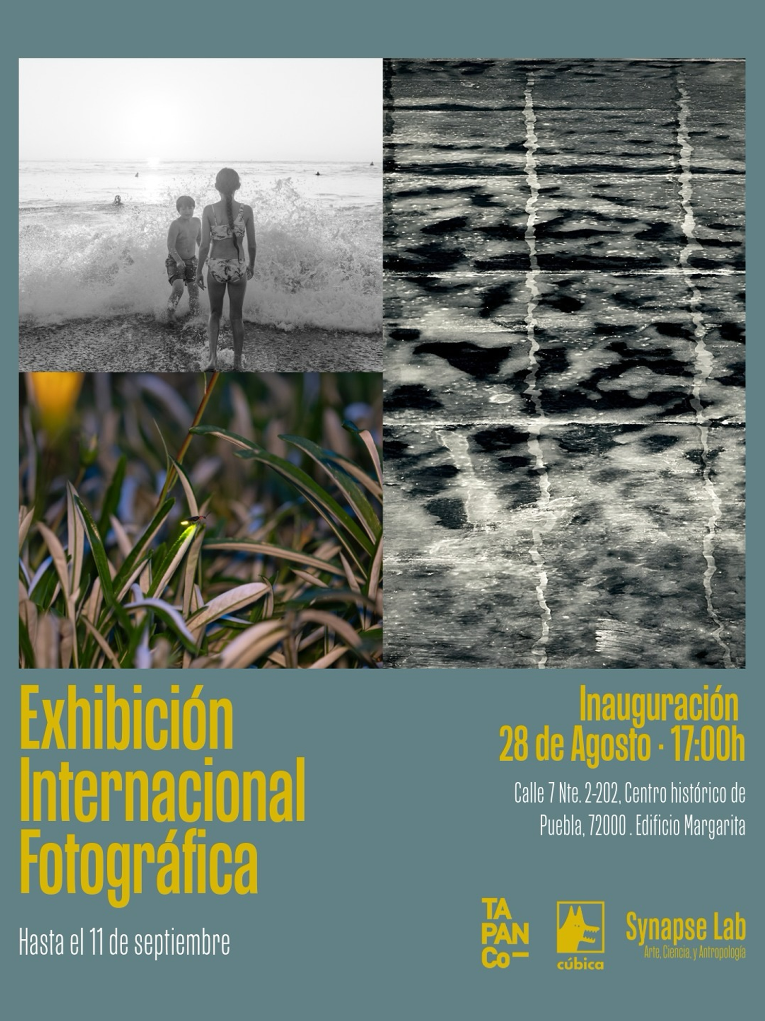 Guest Artist at Synapse Lab, TAPANCO Gallery, Puebla