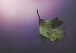 Perinatal Bereavement Room Grant Proposal