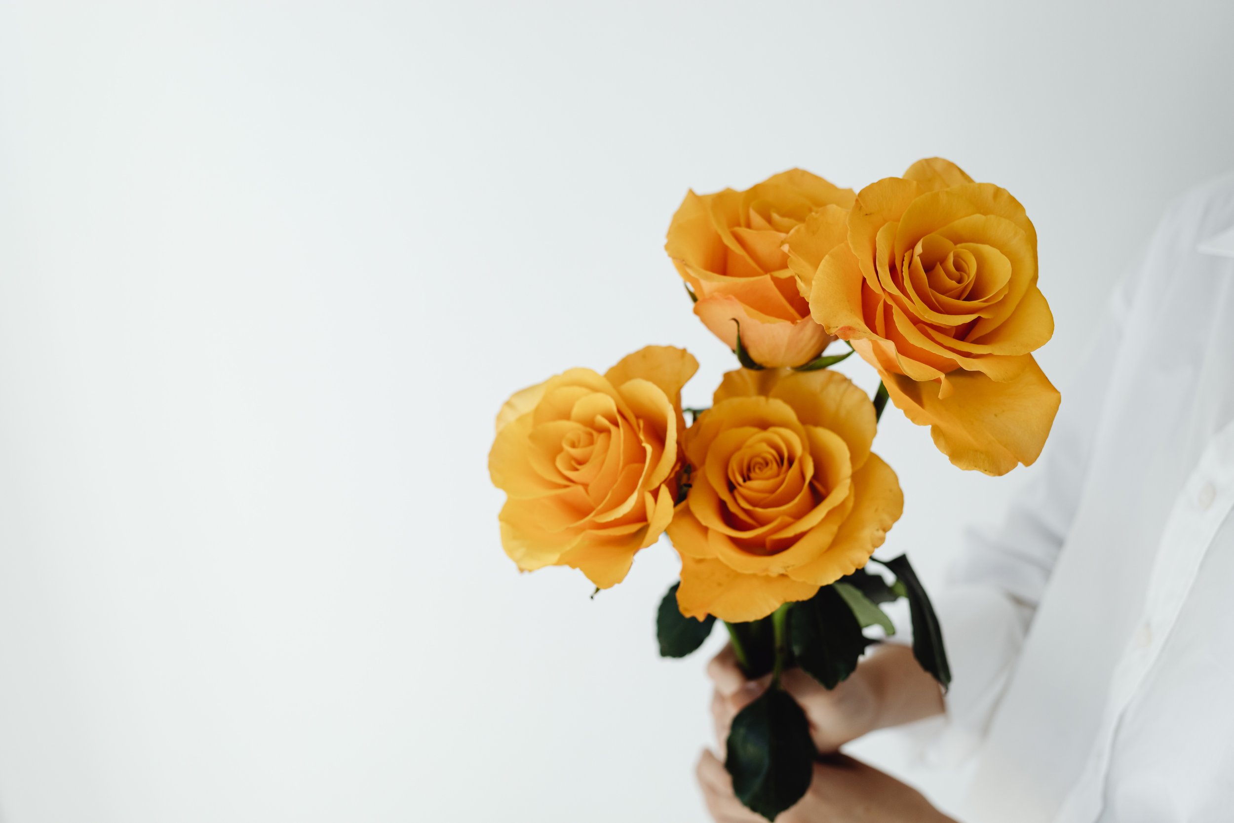 kaboompics_orange-roses-22968.jpg